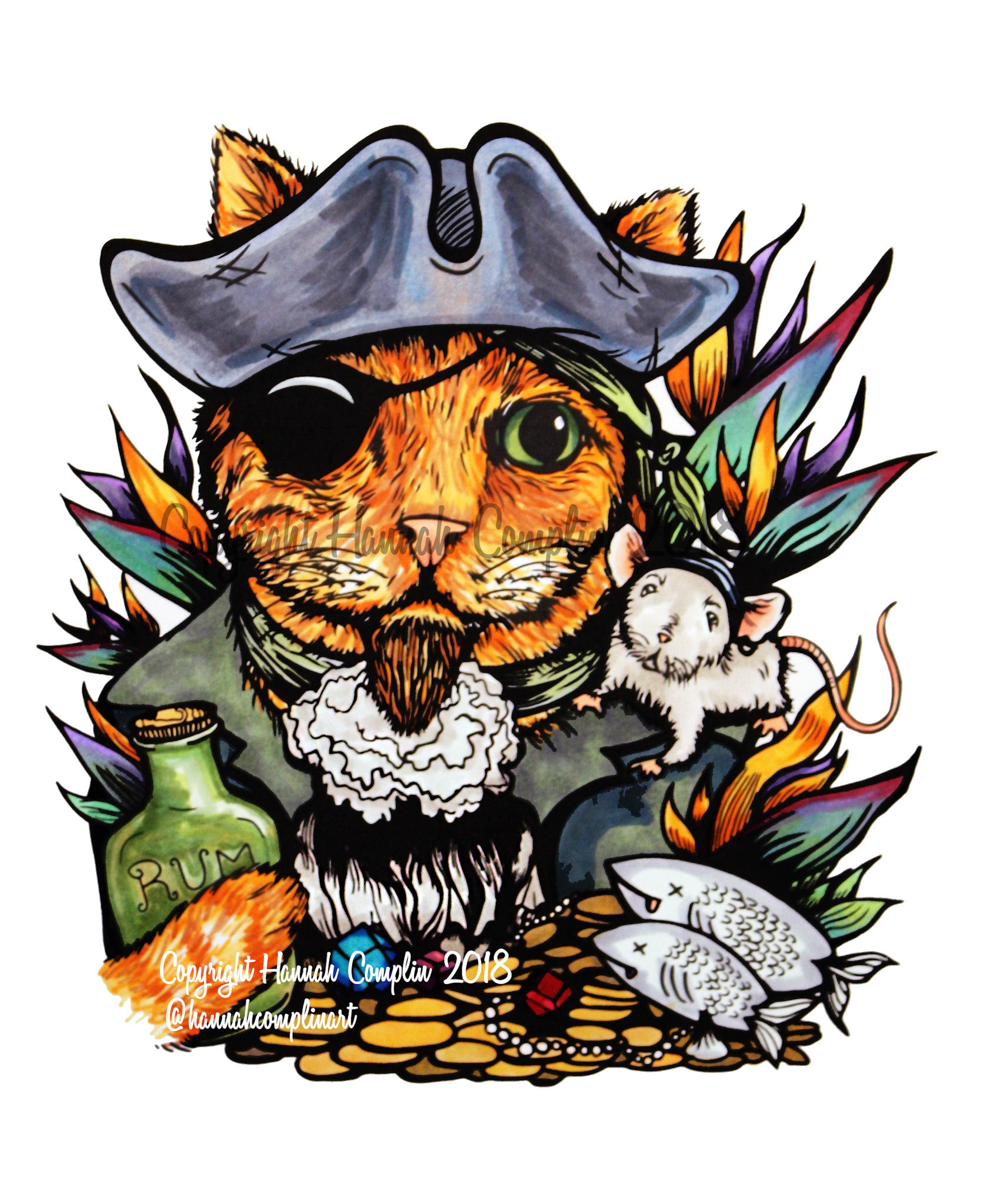 Pirate Cat