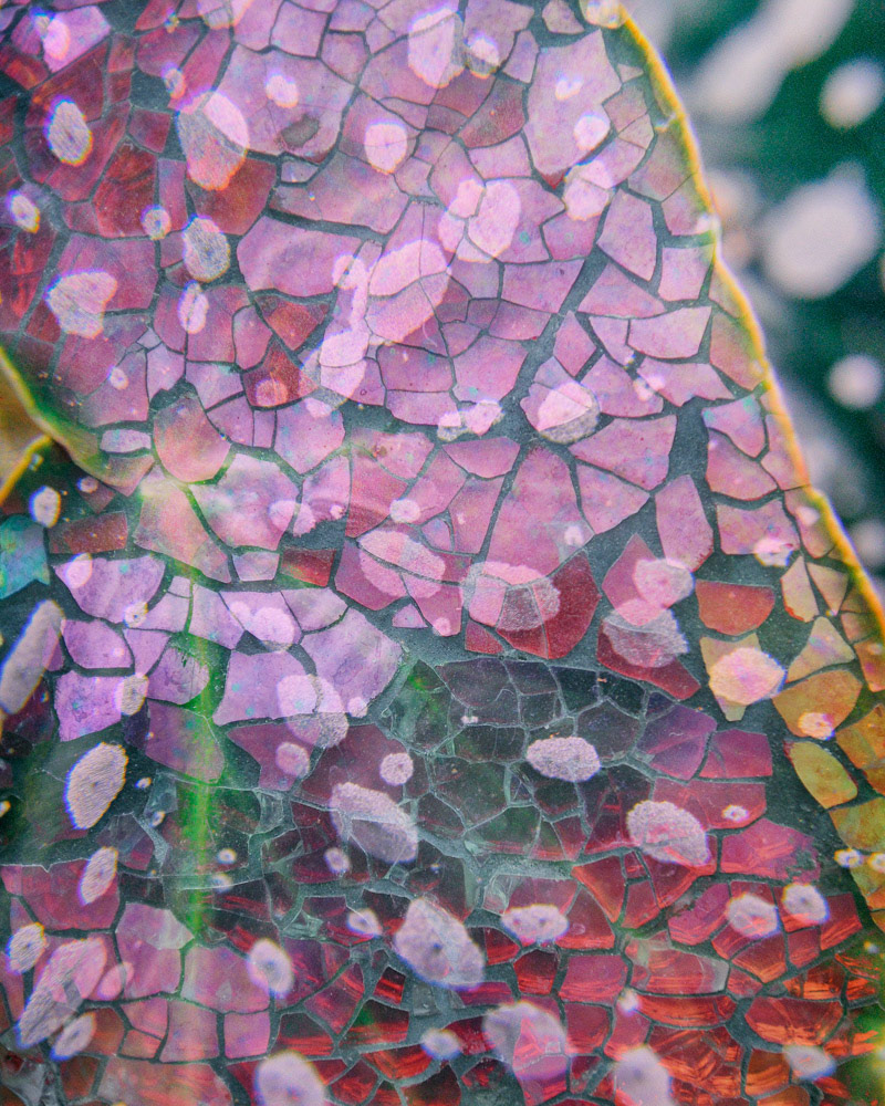 Shatter