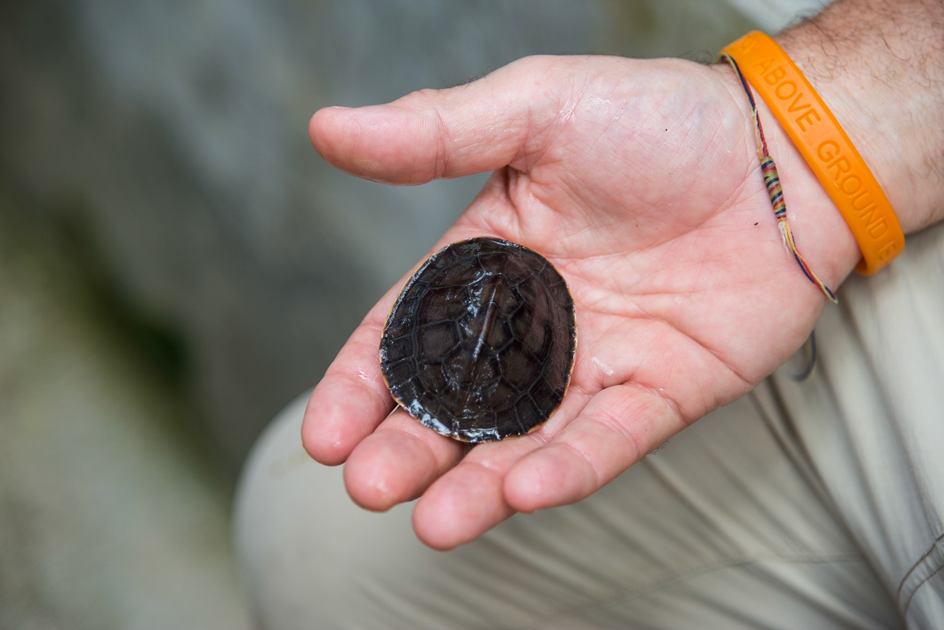 The Philippines, Palawan Island