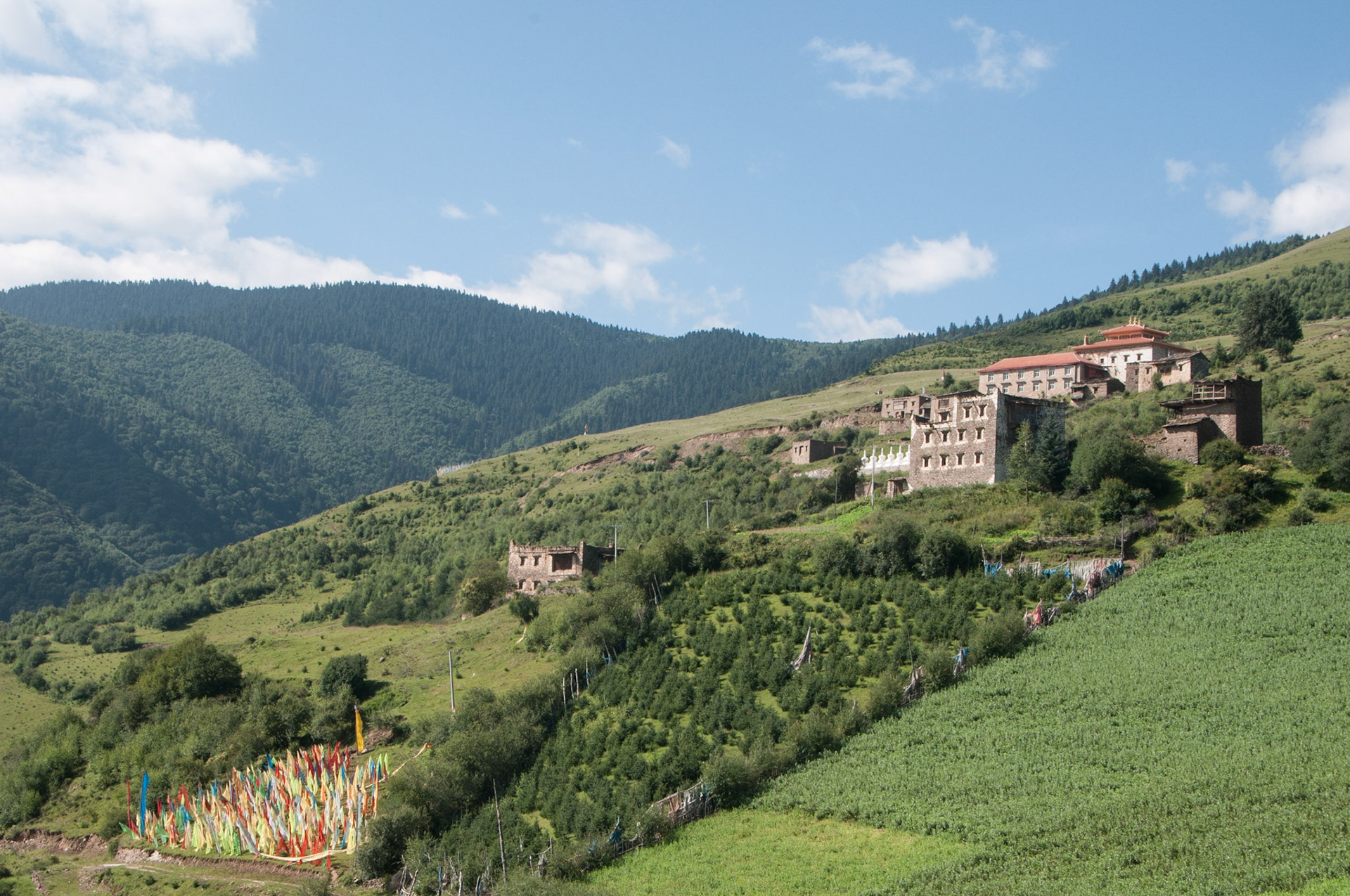 China, Eastern Tibet or Western Sichuan, also krown as Kham,