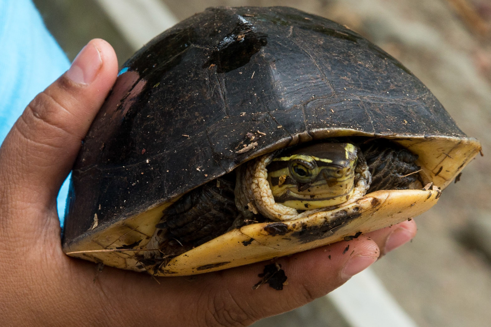 The Philippines, Palawan Island