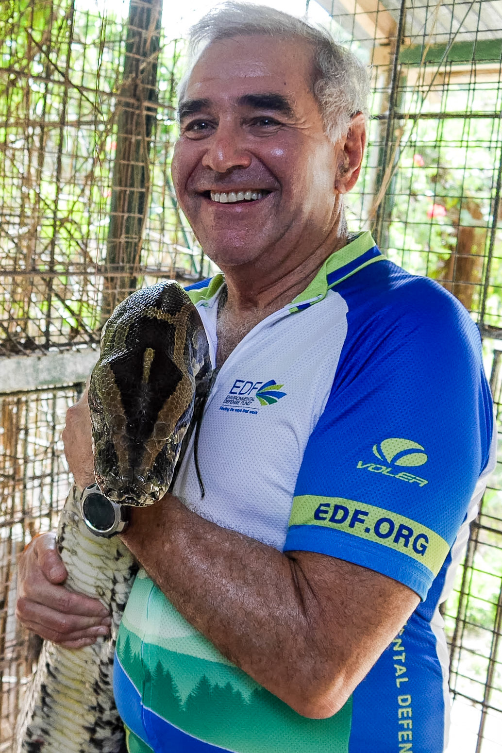 The Philippines, Bohol Island,