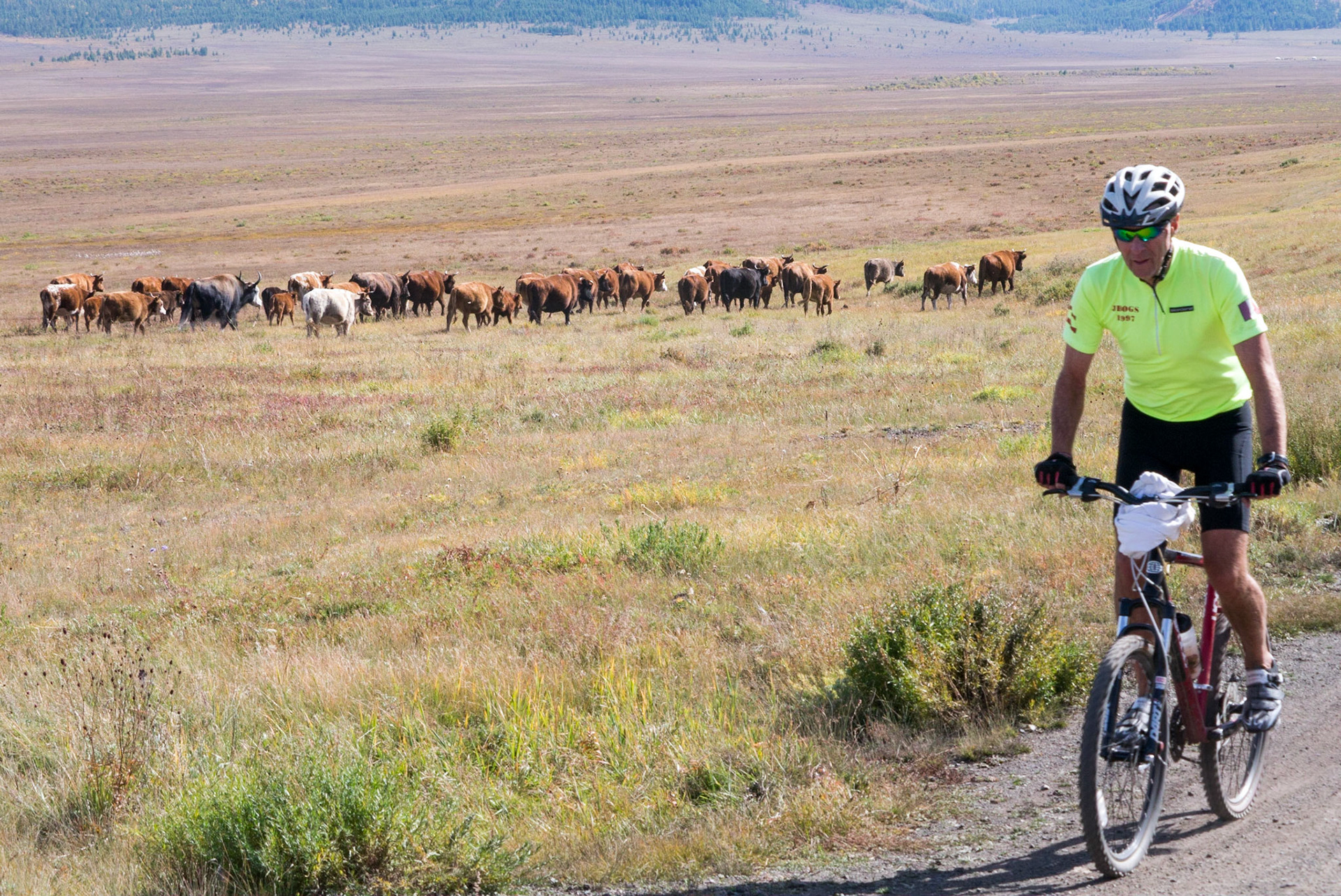 Mongolia, photos from a bicycle tour with Compass Rose Expeditions