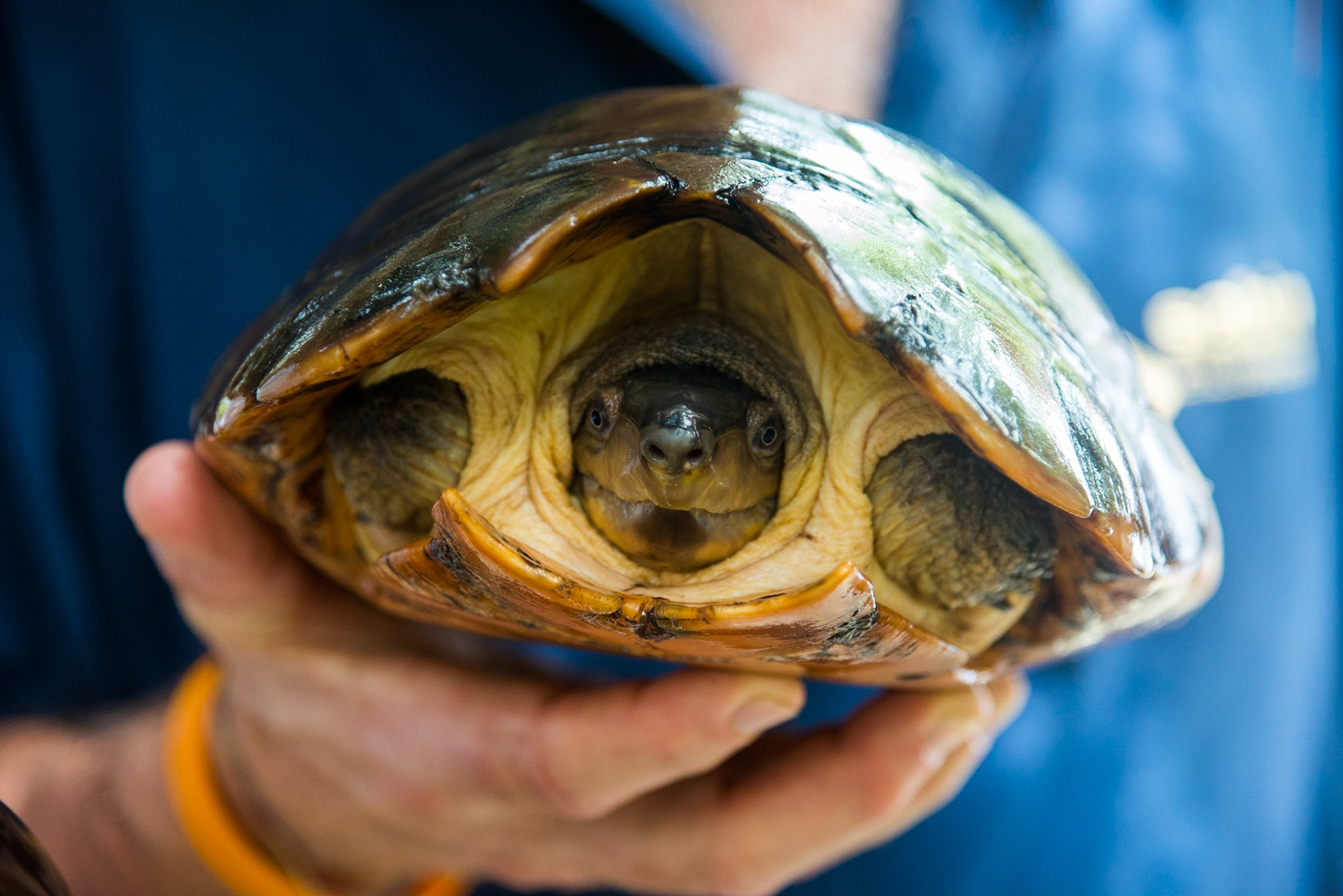 The Philippines, Palawan Island