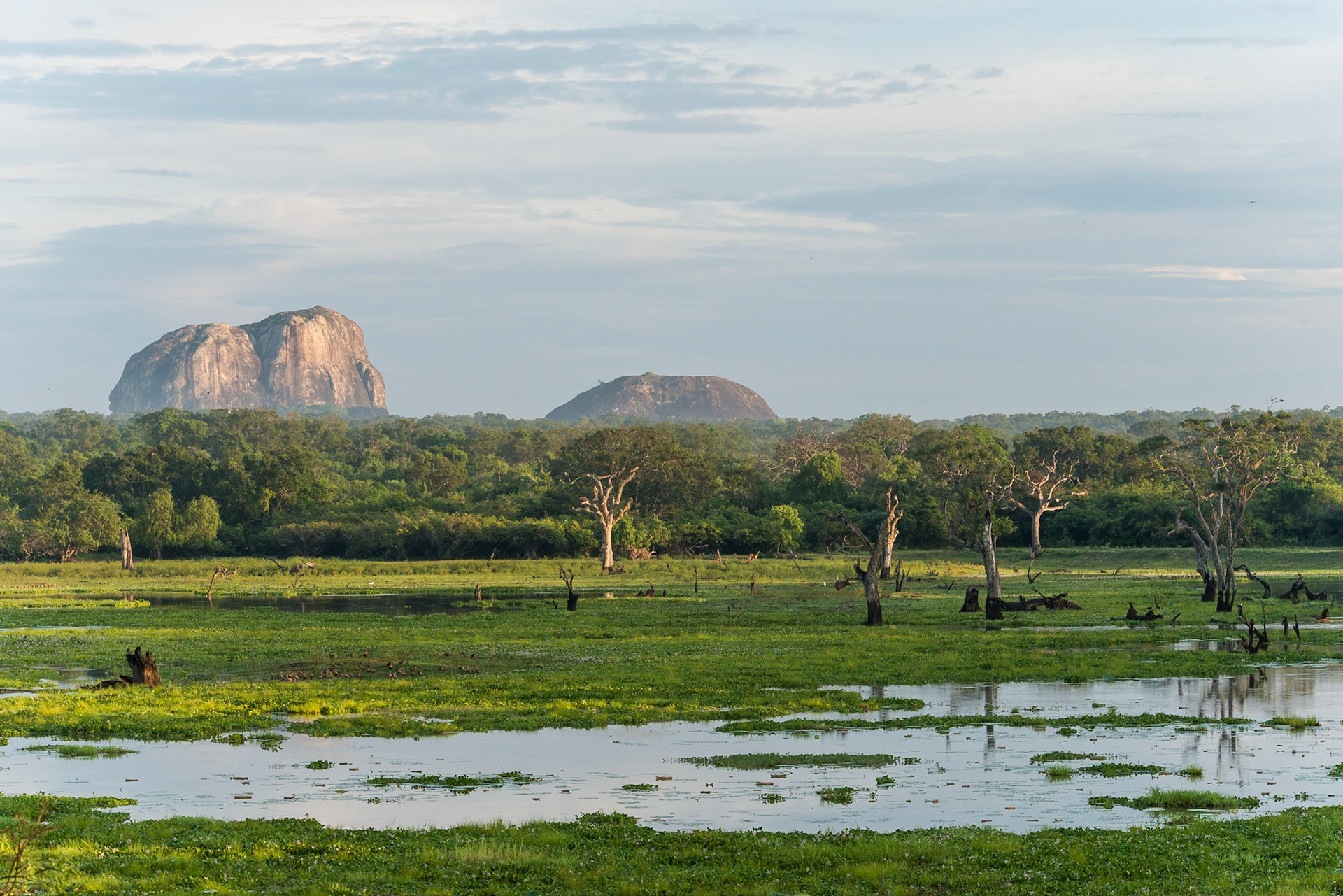 Sri Lanka, Yala National Park