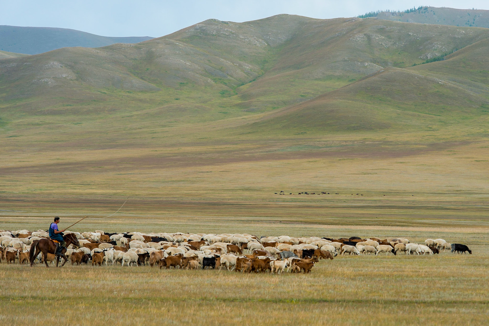 Mongolia, photos from a bicycle tour with Compass Rose Expeditions