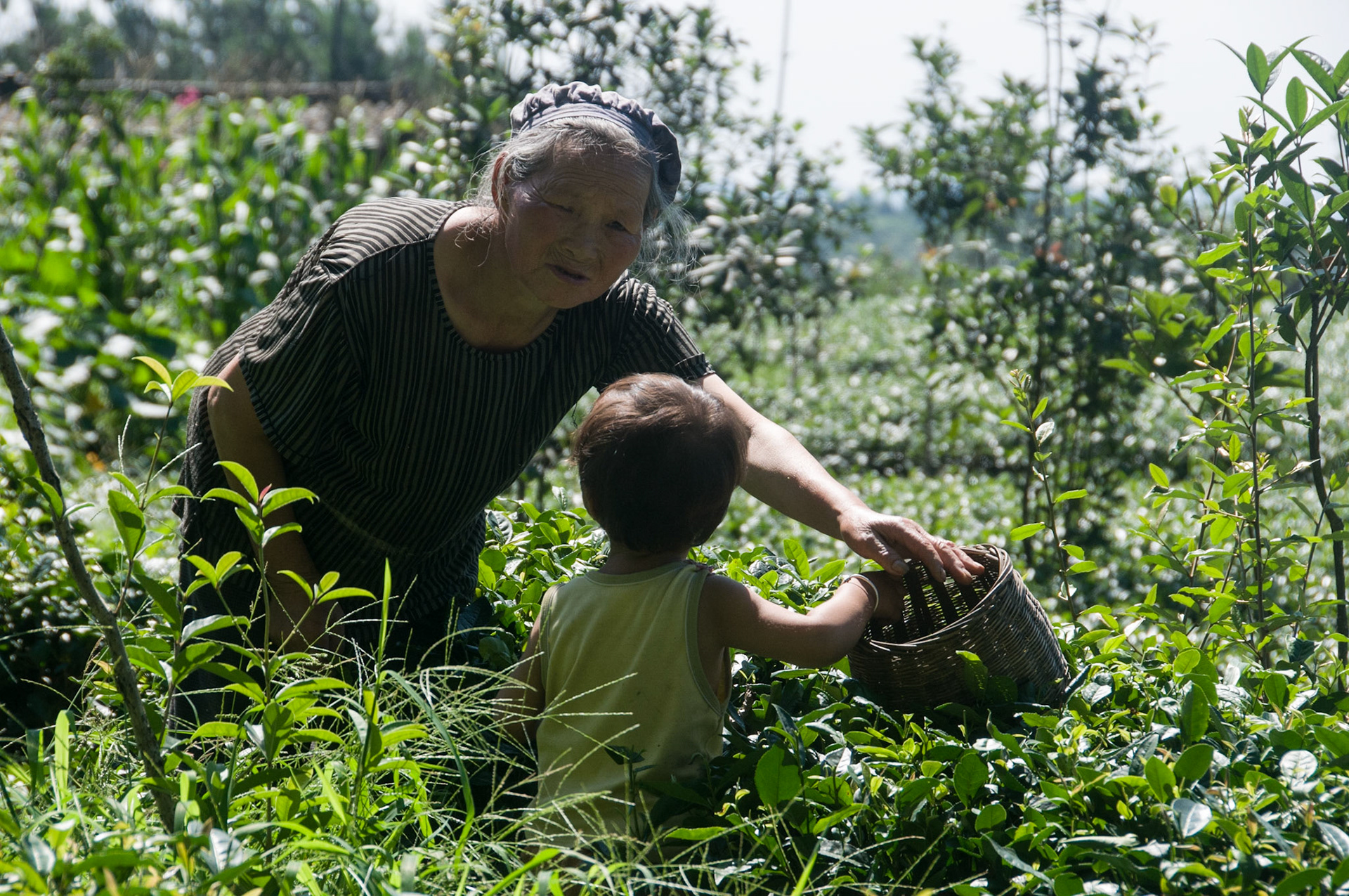 China, South Sicnuan  Province,