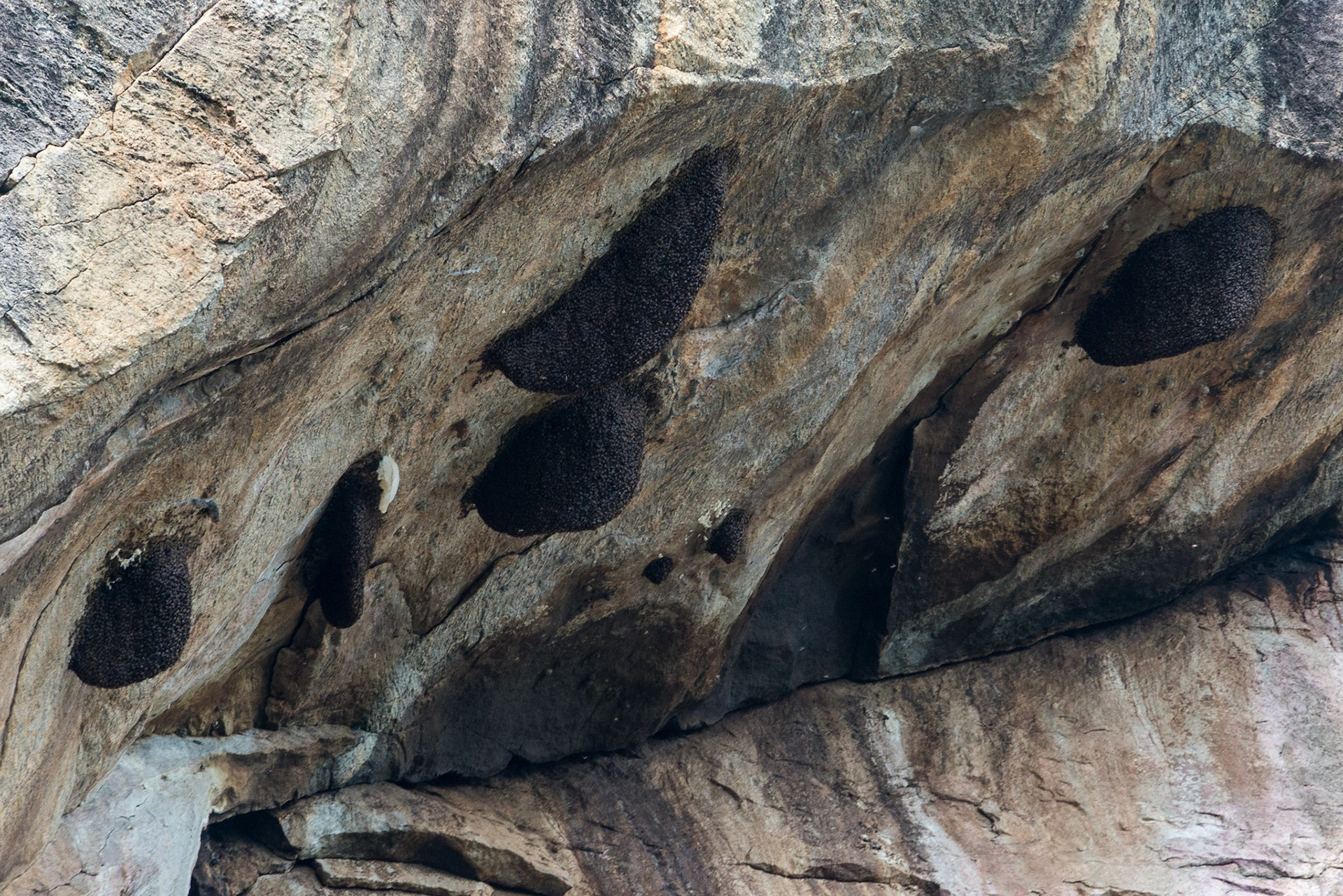 Sri Lanka, Yala National Park