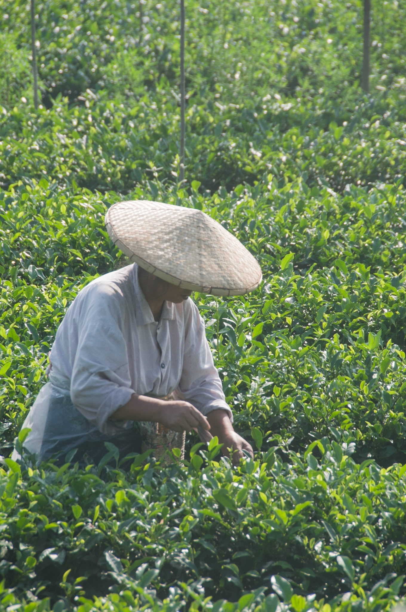 China, South Sicnuan  Province,