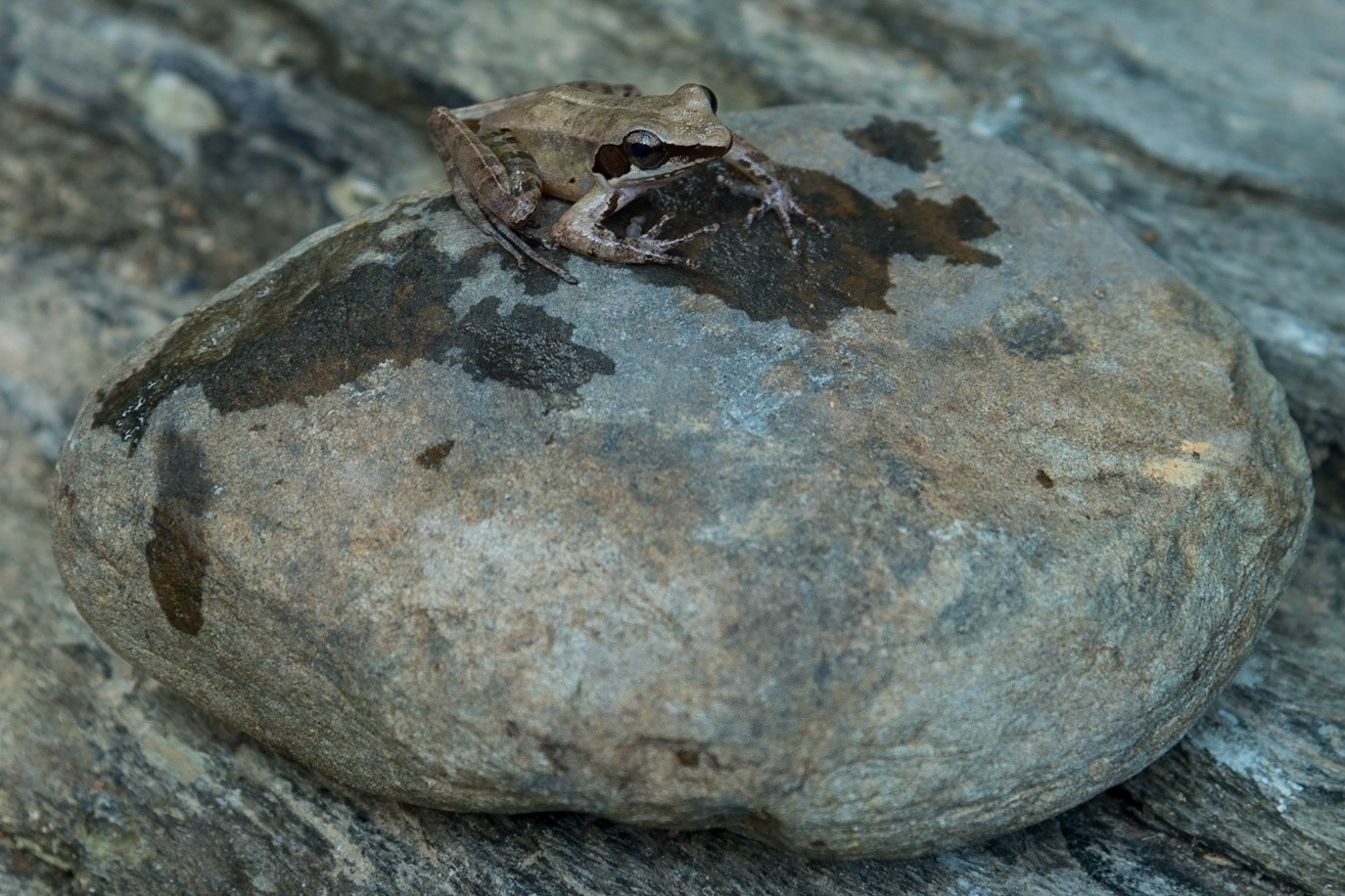 The Philippines, Palawan Island
