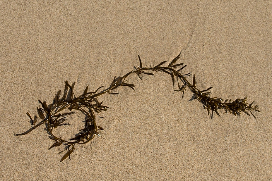 The Philippines, Palawan Island