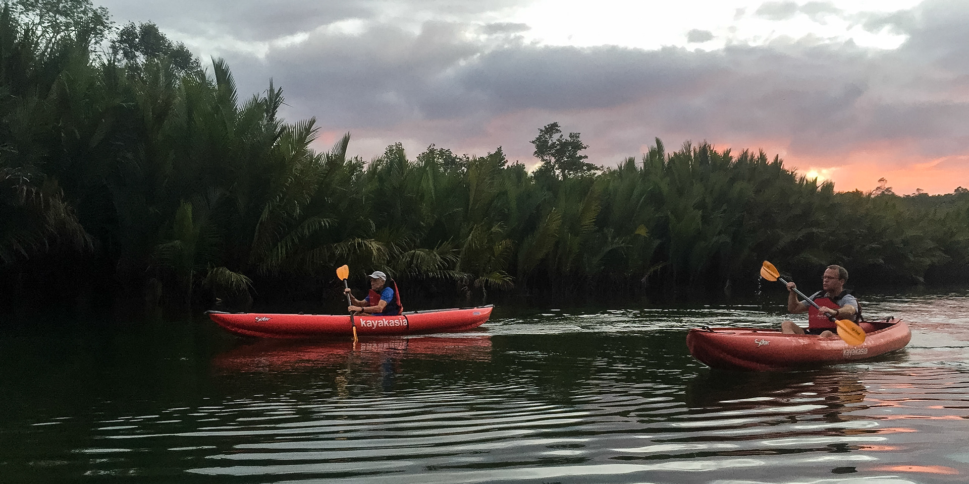 The Philippines, Bohol Island, sea kayaking in mangrove swamps for fire flies