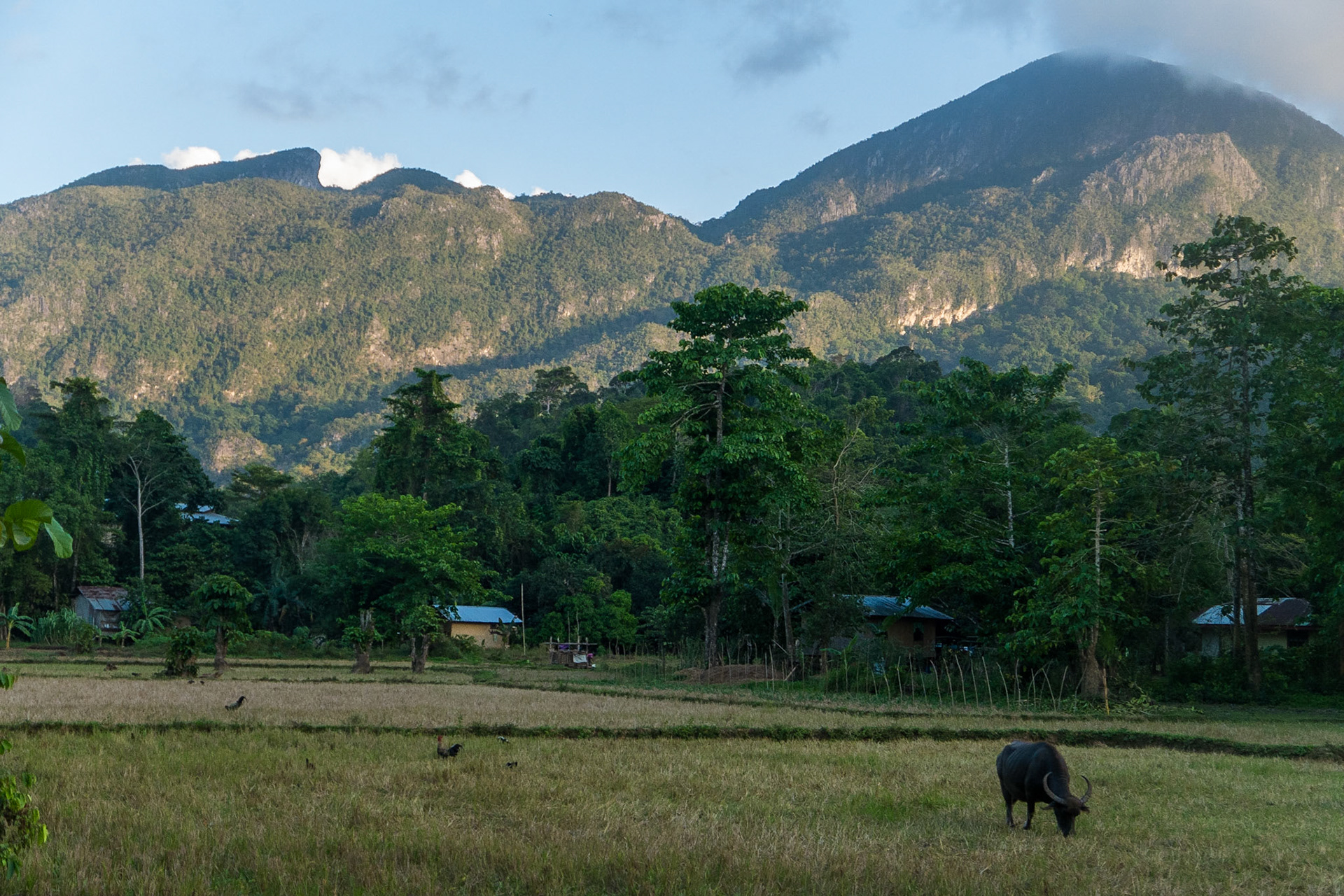 The Philippines, Palawan Island