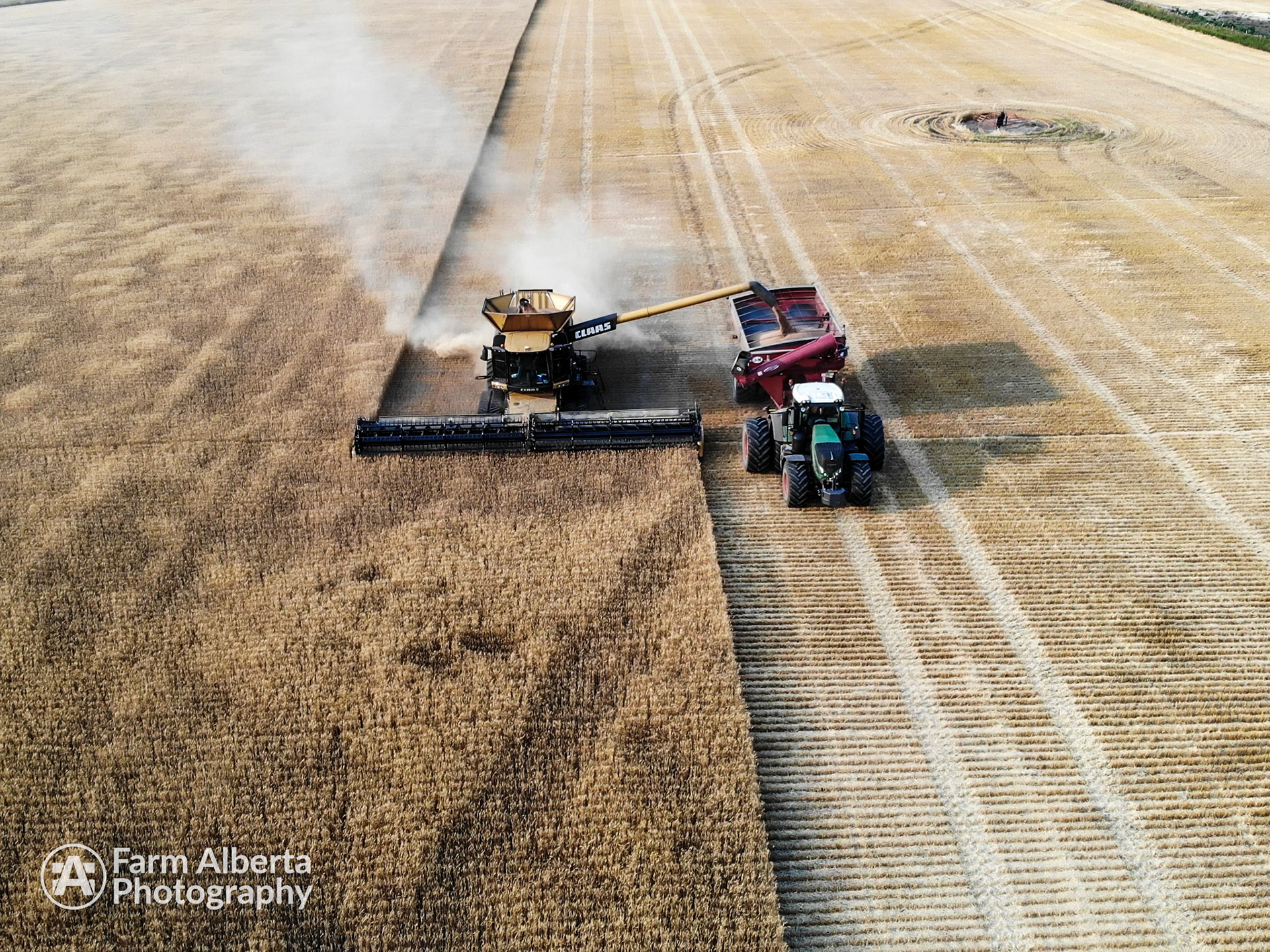 The right yellow and the wrong green