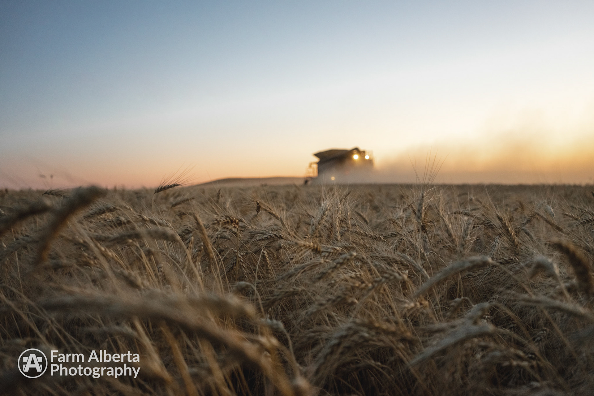 760+Wheat = Productivity