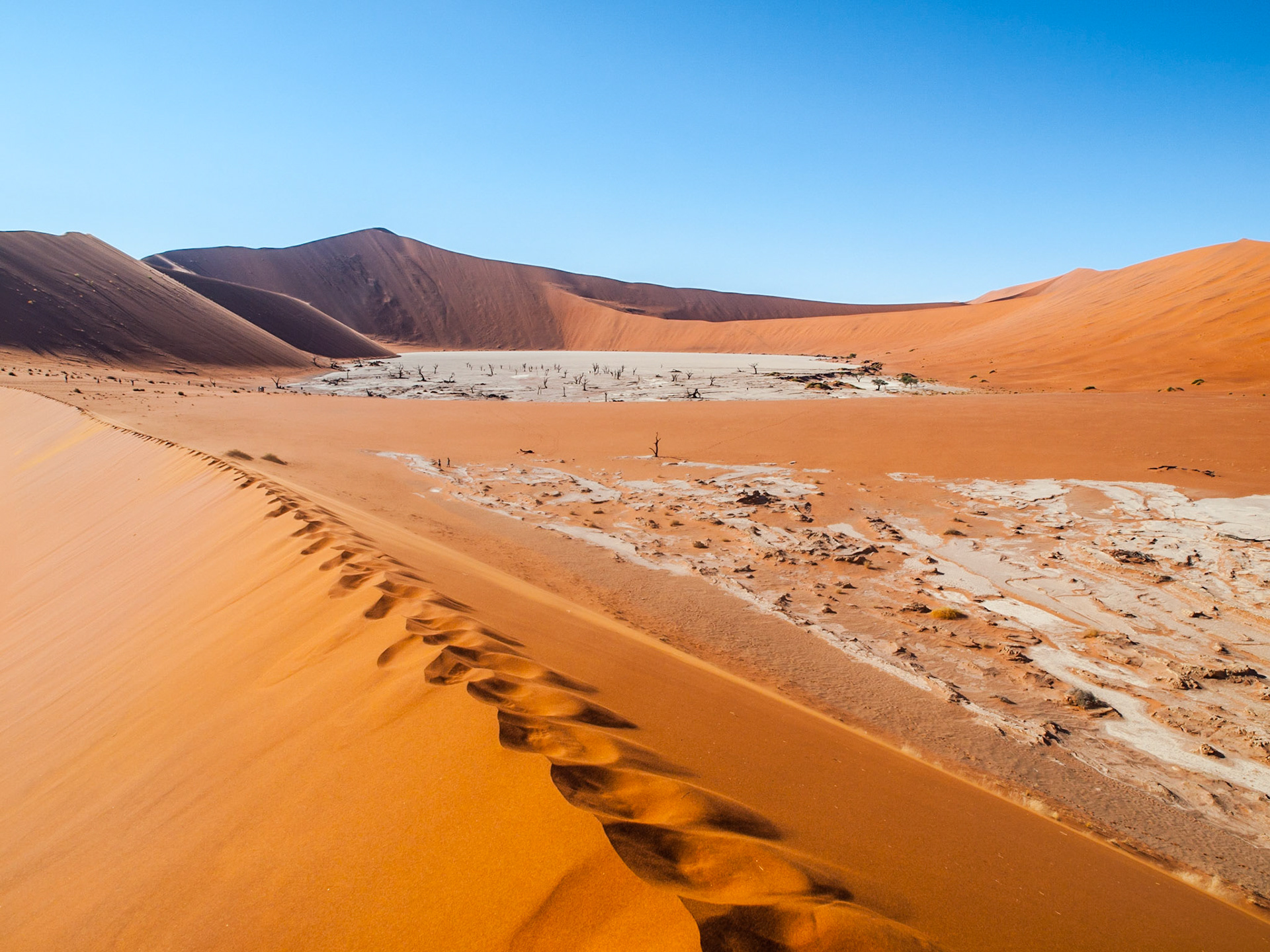 Jižní Afrika