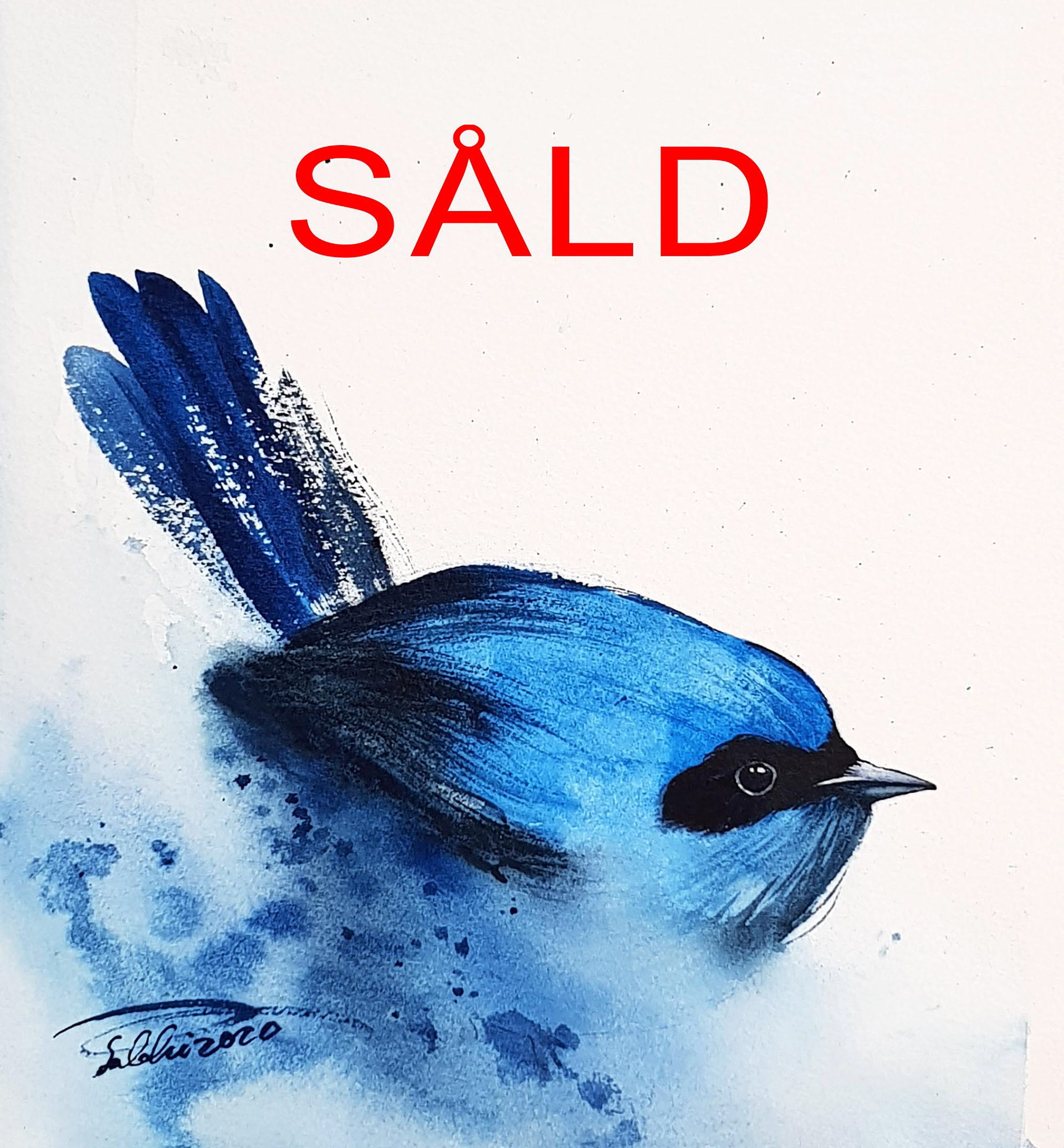 MS 59