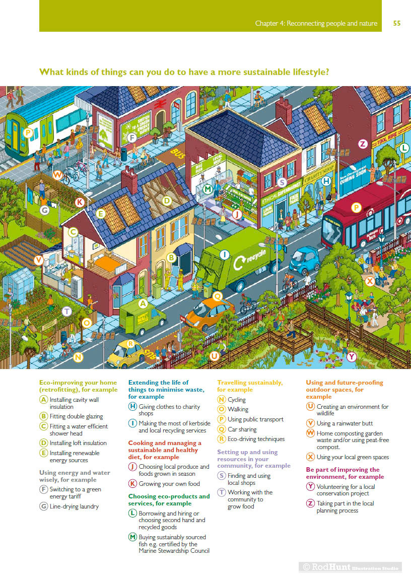 Infographics Illustration showing Sustainable Environmental Behaviours
