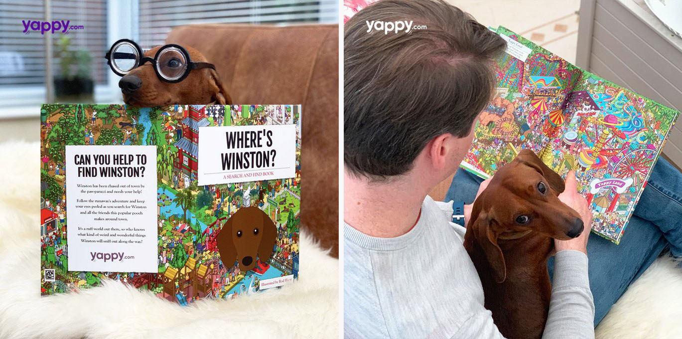Where's 'Your Dog a Where's Wally/Waldo style Personalised illustrated dog search and find book - your dog is the star! Illustrated by Rod Hunt