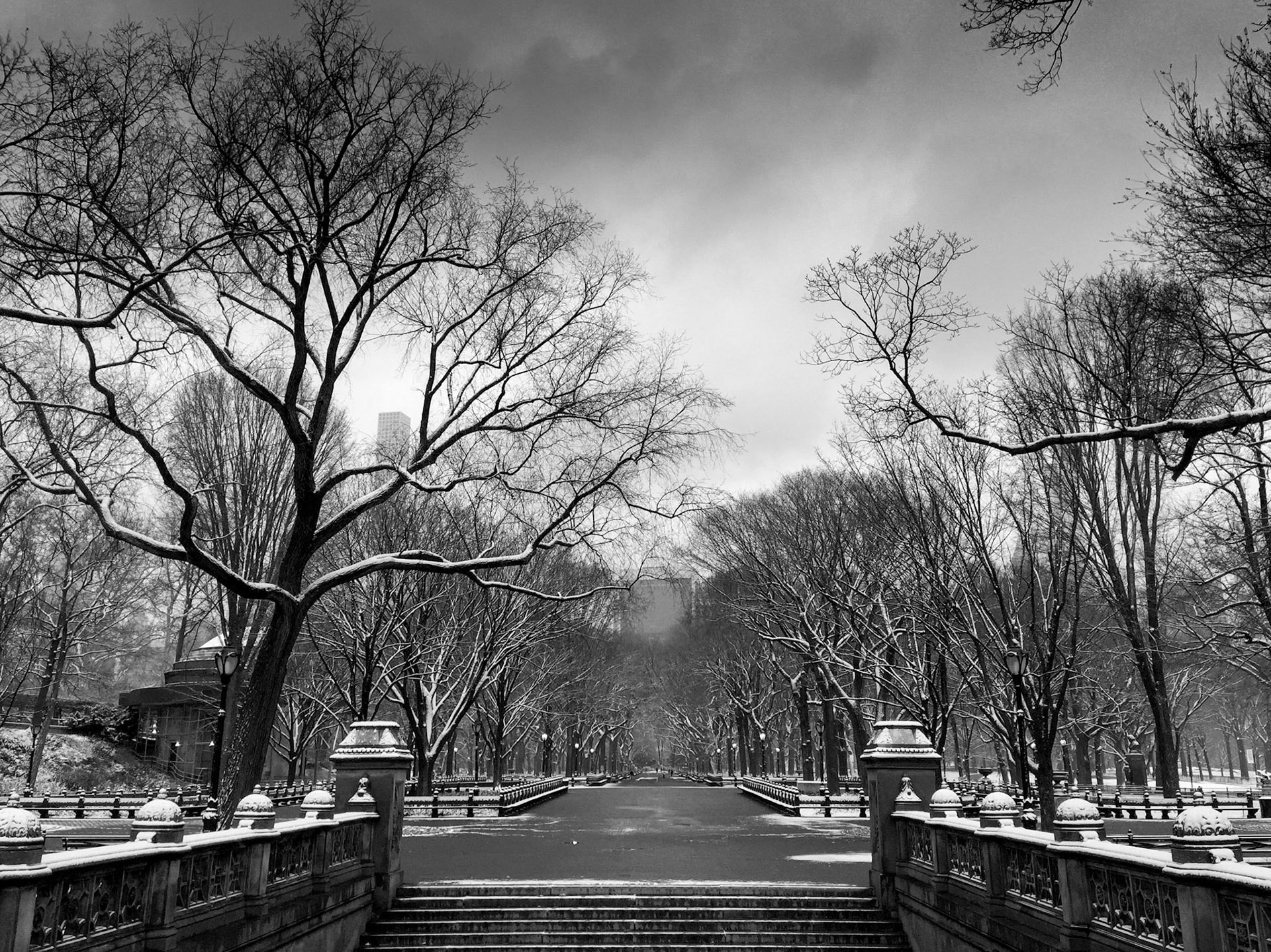 Early morning view looking south along The Mall in Central Park
