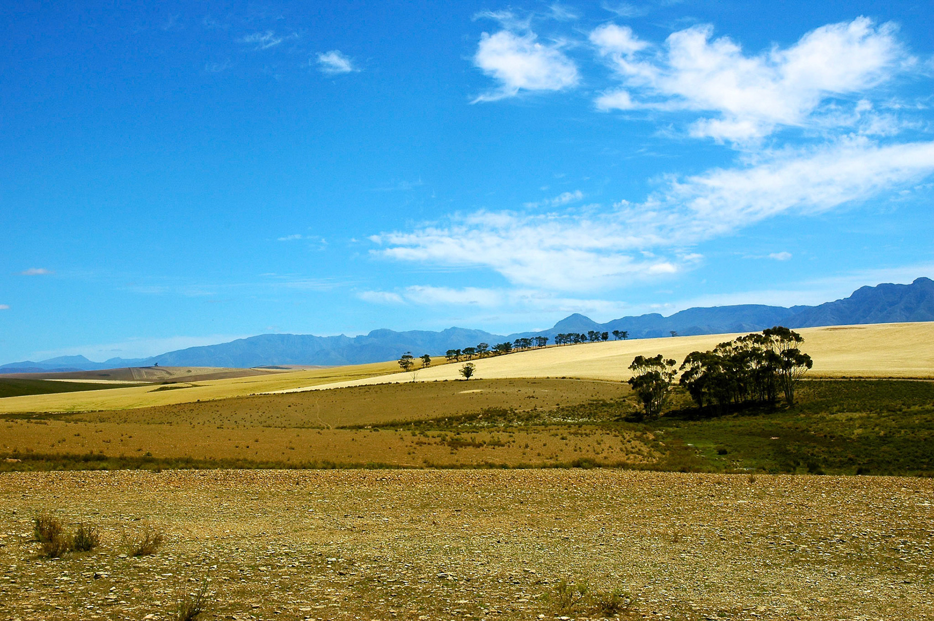 View from the Garden Route near Swellendam, Western Cape, South Africa