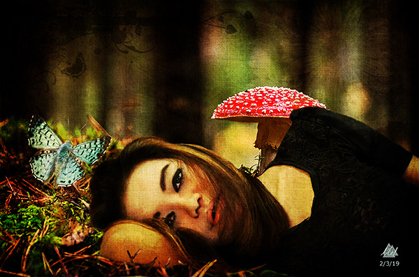 Woodland Daydream