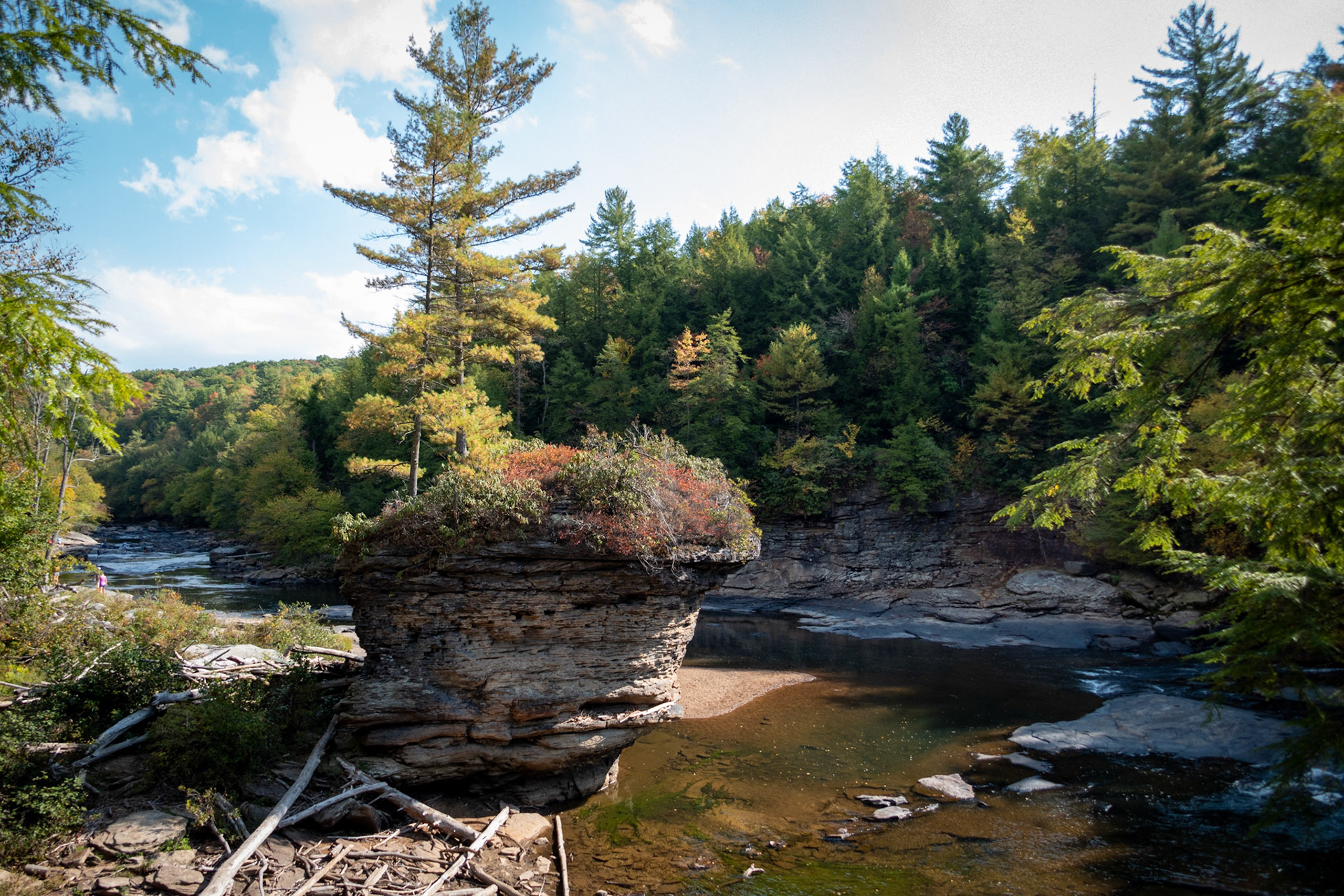 Hiking in Swallow Falls State Park, deep in western Maryland.