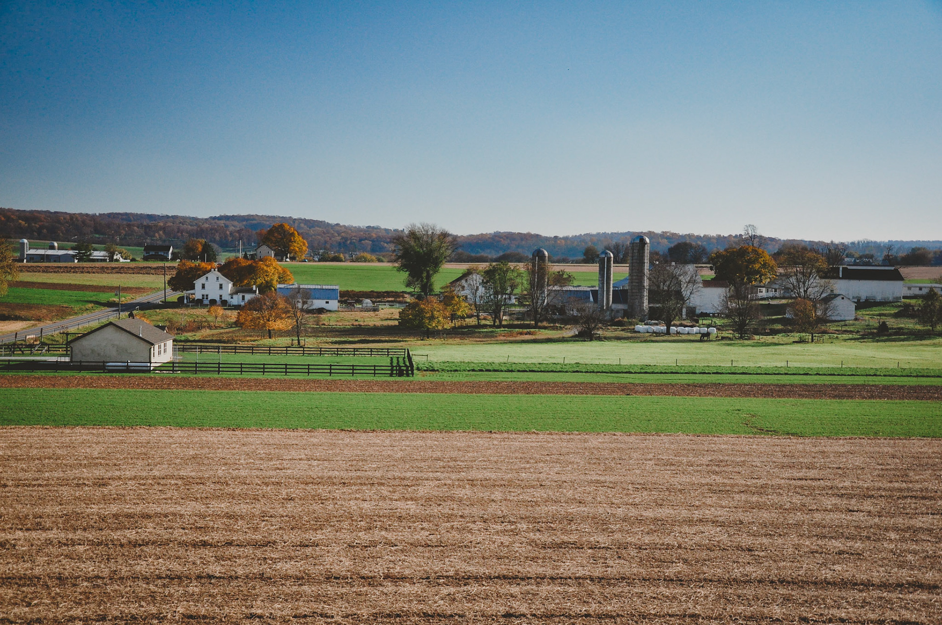 fields, farms and fall foliage