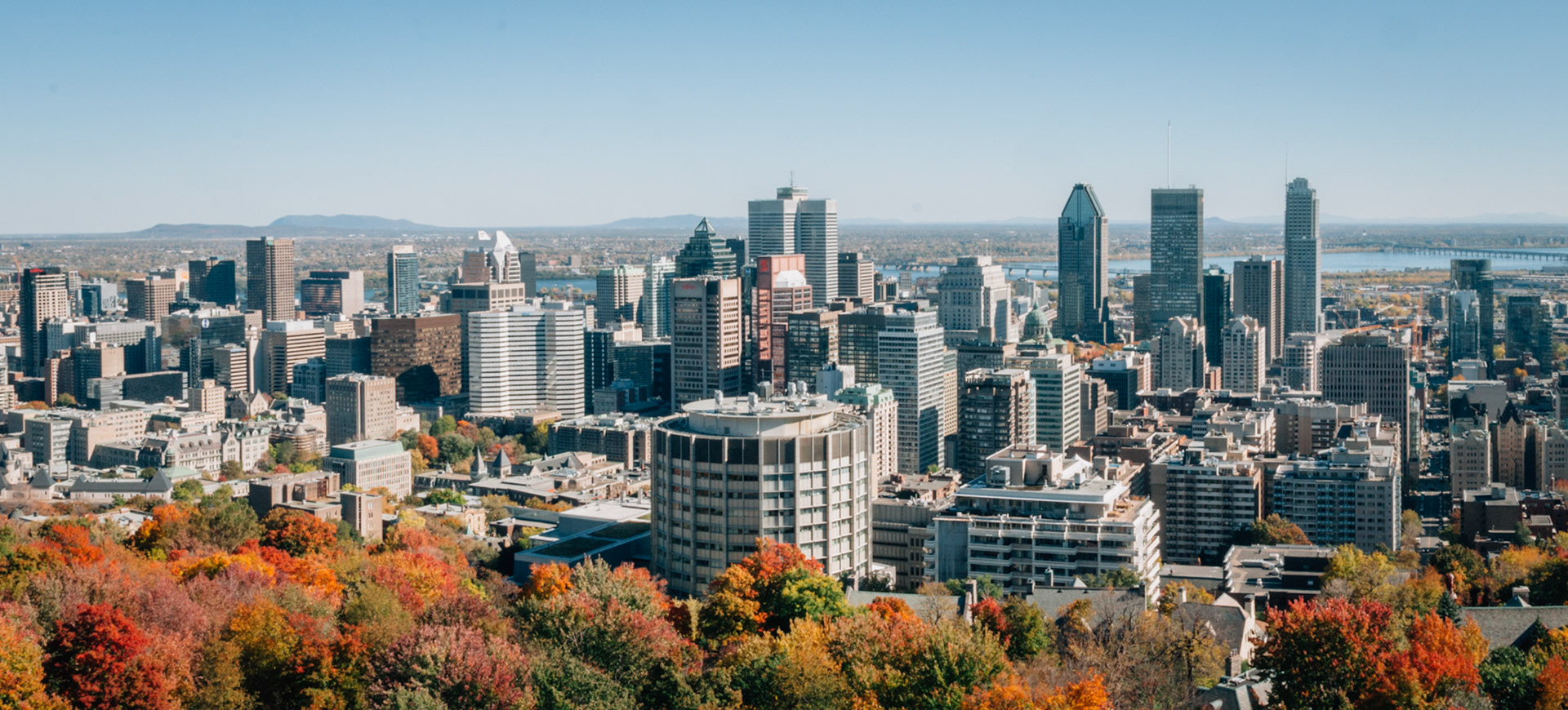 The leaves are red and orange and the sky is blue in Montreal, Canada
