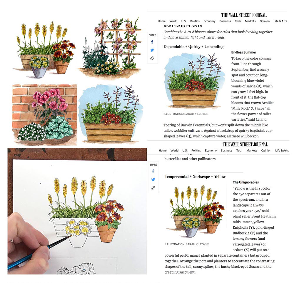 Off Duty Magazine Botanical Feature