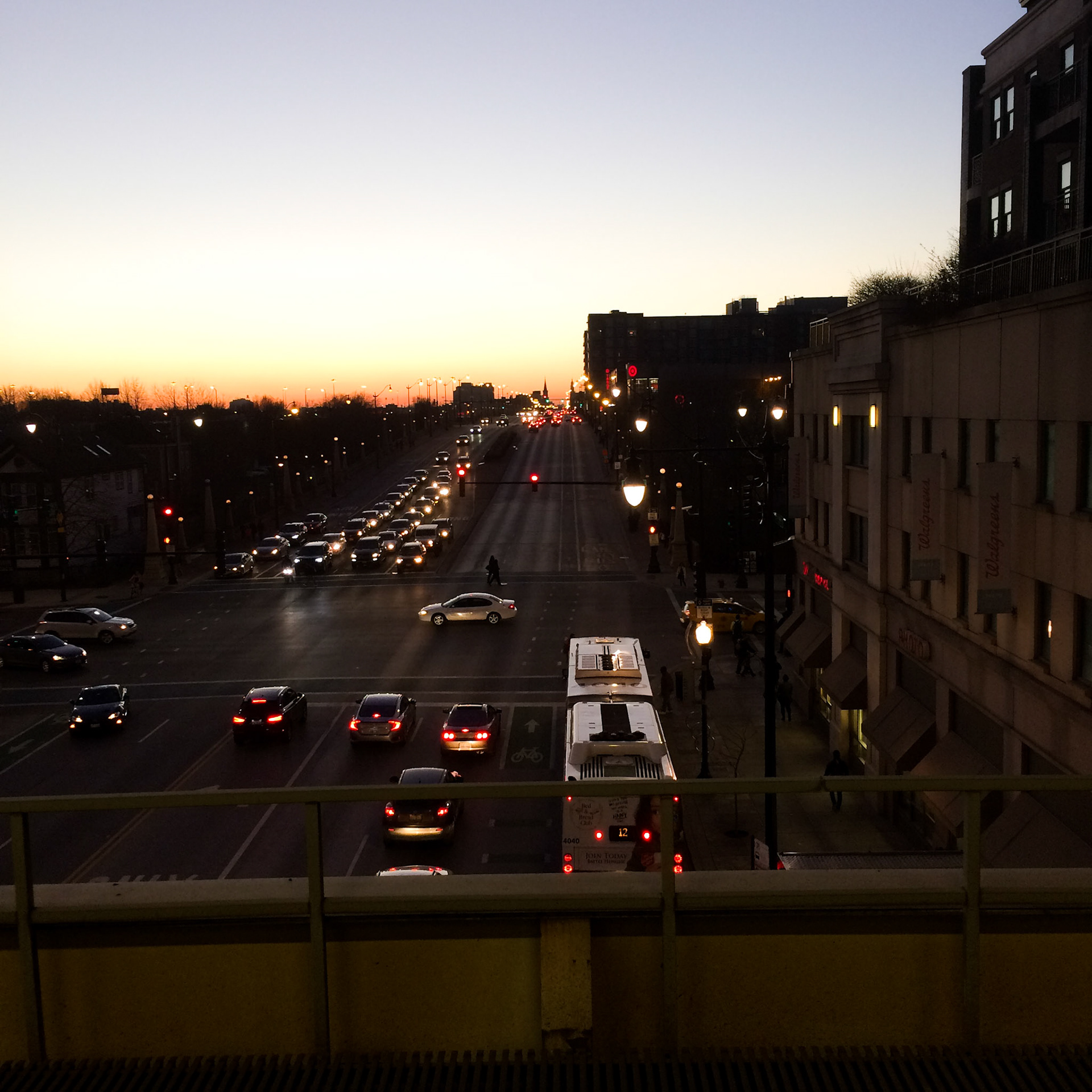 Roosevelt at Dusk