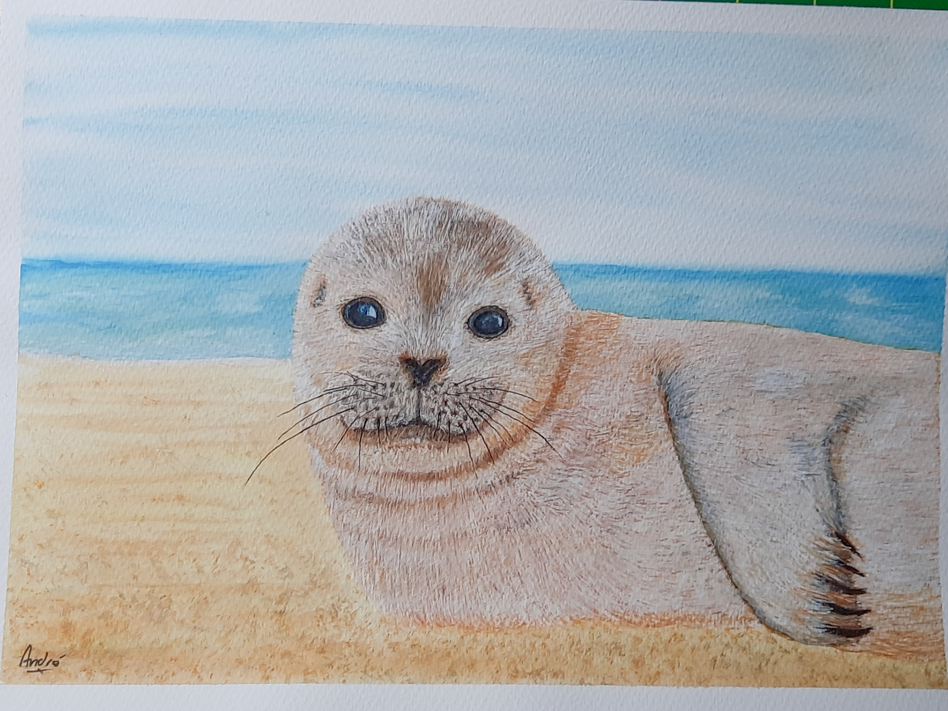 Seal