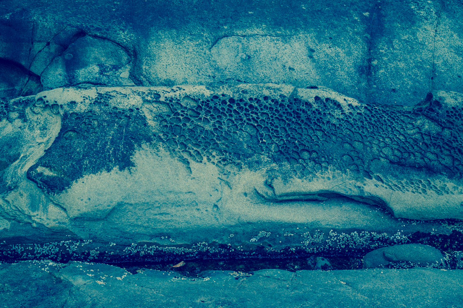 Photography of canada