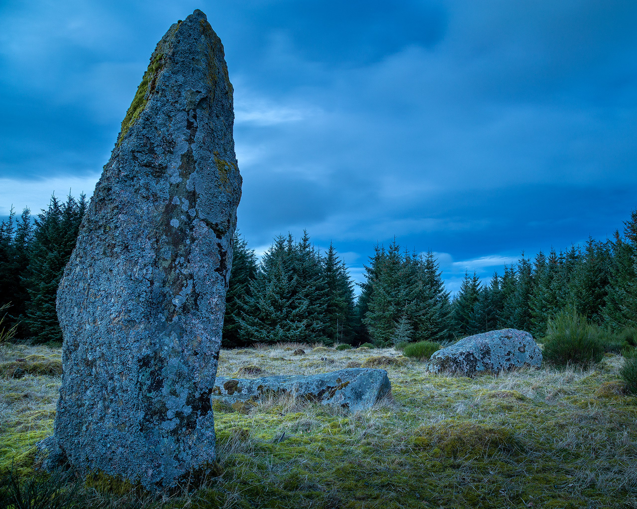 Photography from the Sidlaws, Angus and the Cairngorms, Scotland ...