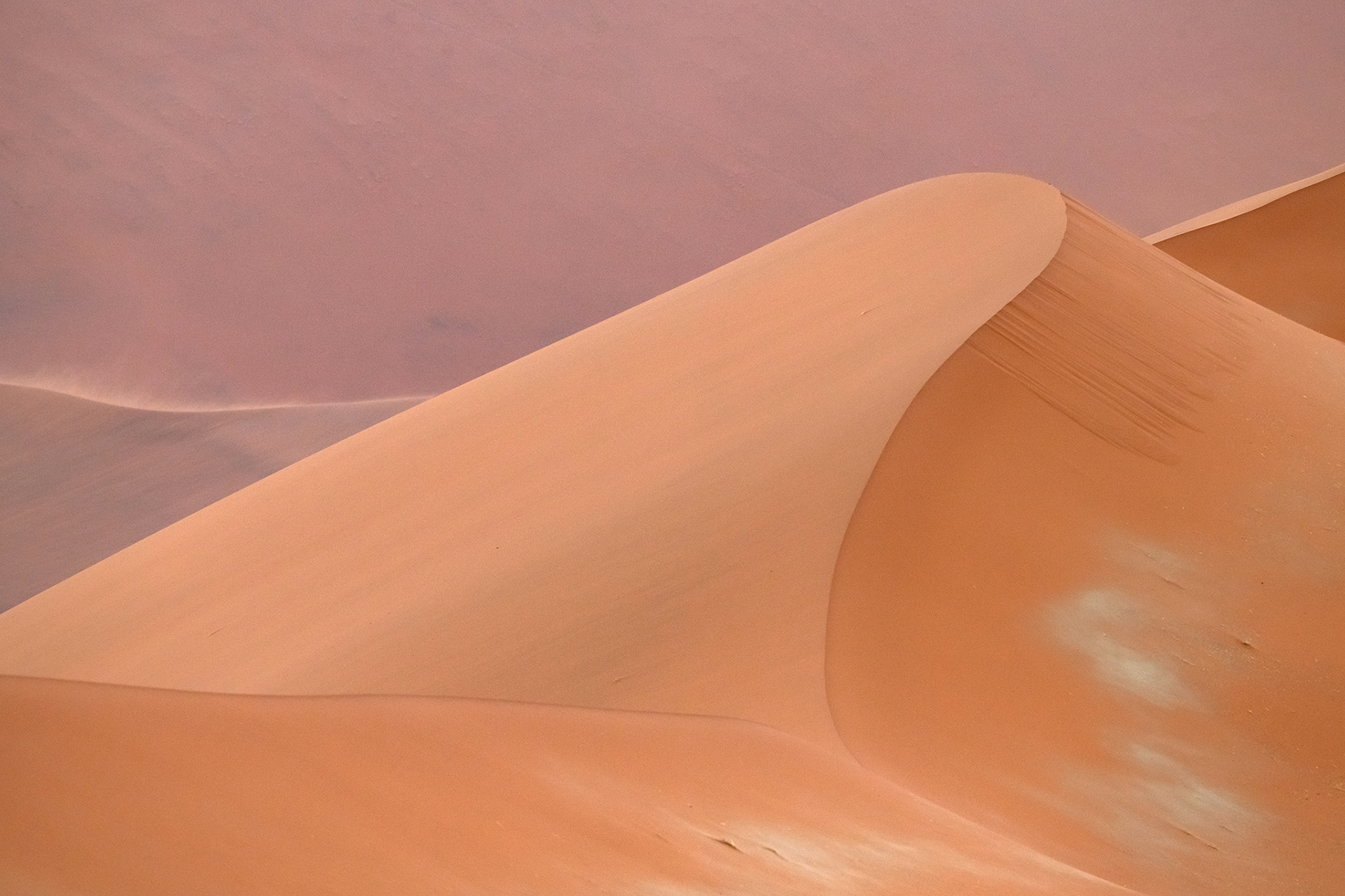 Namib desert