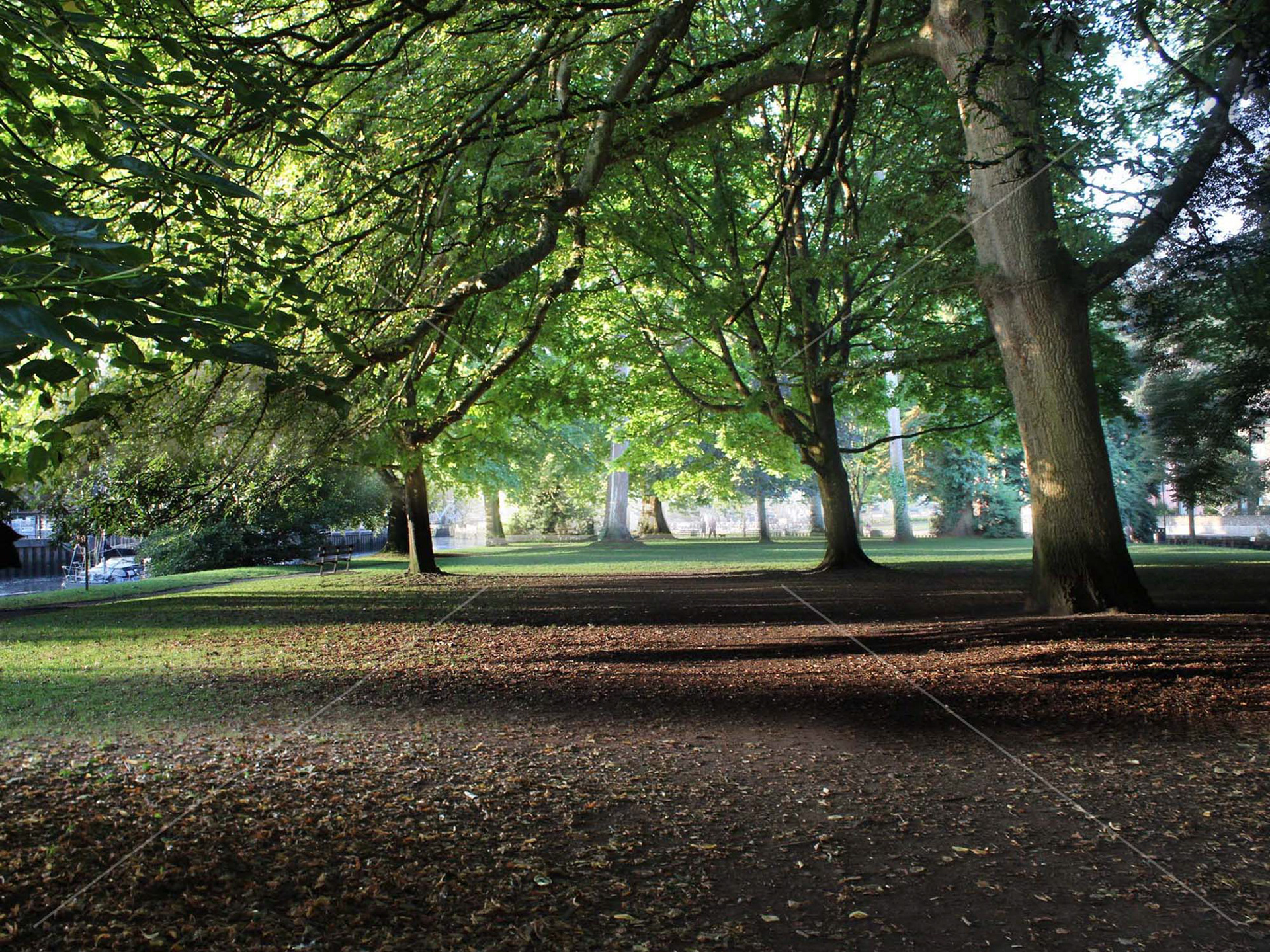 Vire Island in Totnes