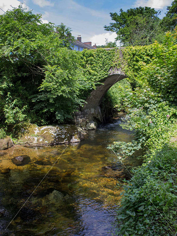 Photos of South Devon Ivybridge