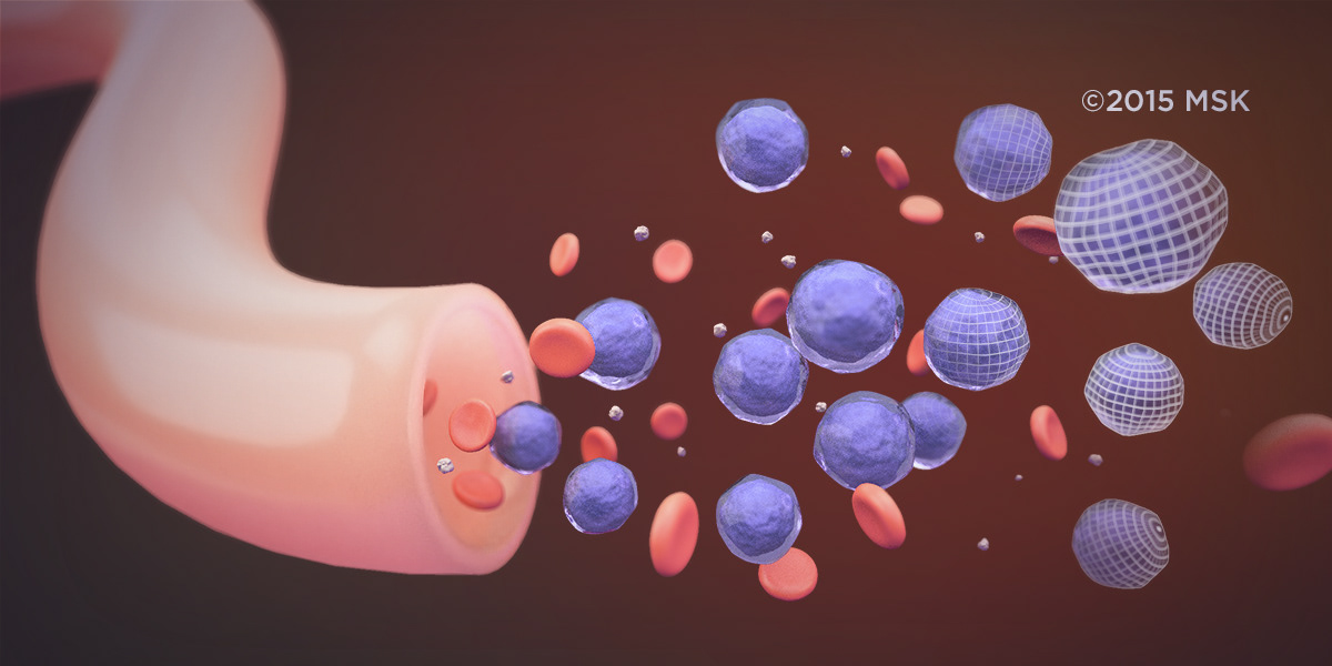 blood cells in vessel editorial illustration