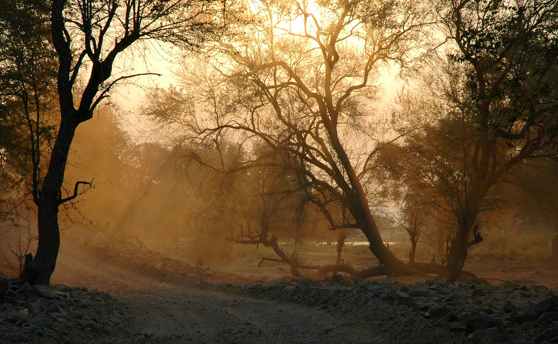 This magic image in the Kunene River Valley is just one of the once-in-a-lifetime experiences Namibia offered me. The light, the dust, the trees all blended together beautifully.