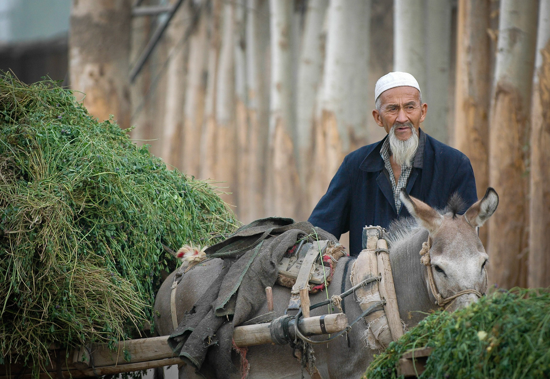 Farmer outside Mal Bazaar (Kashgar, China)
