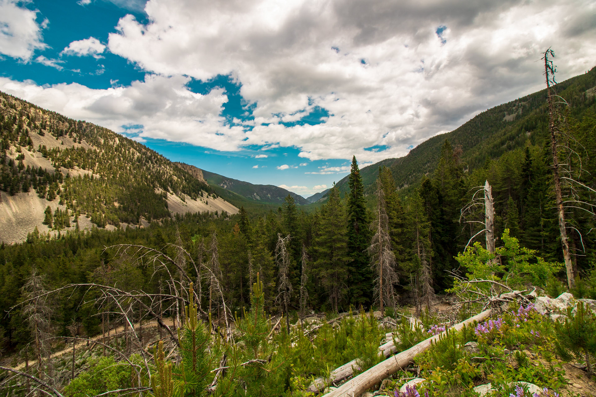 Dustin Parry Basin Lakes Trail No. 61 Red Lodge, Montana