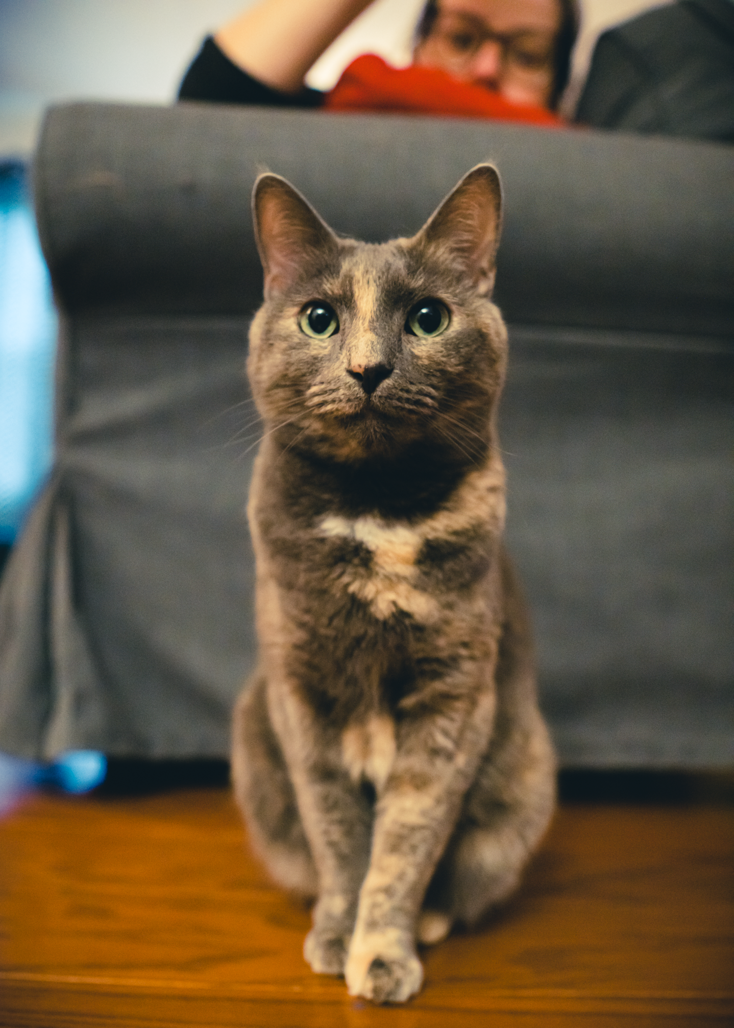 "Ermie" - RIP