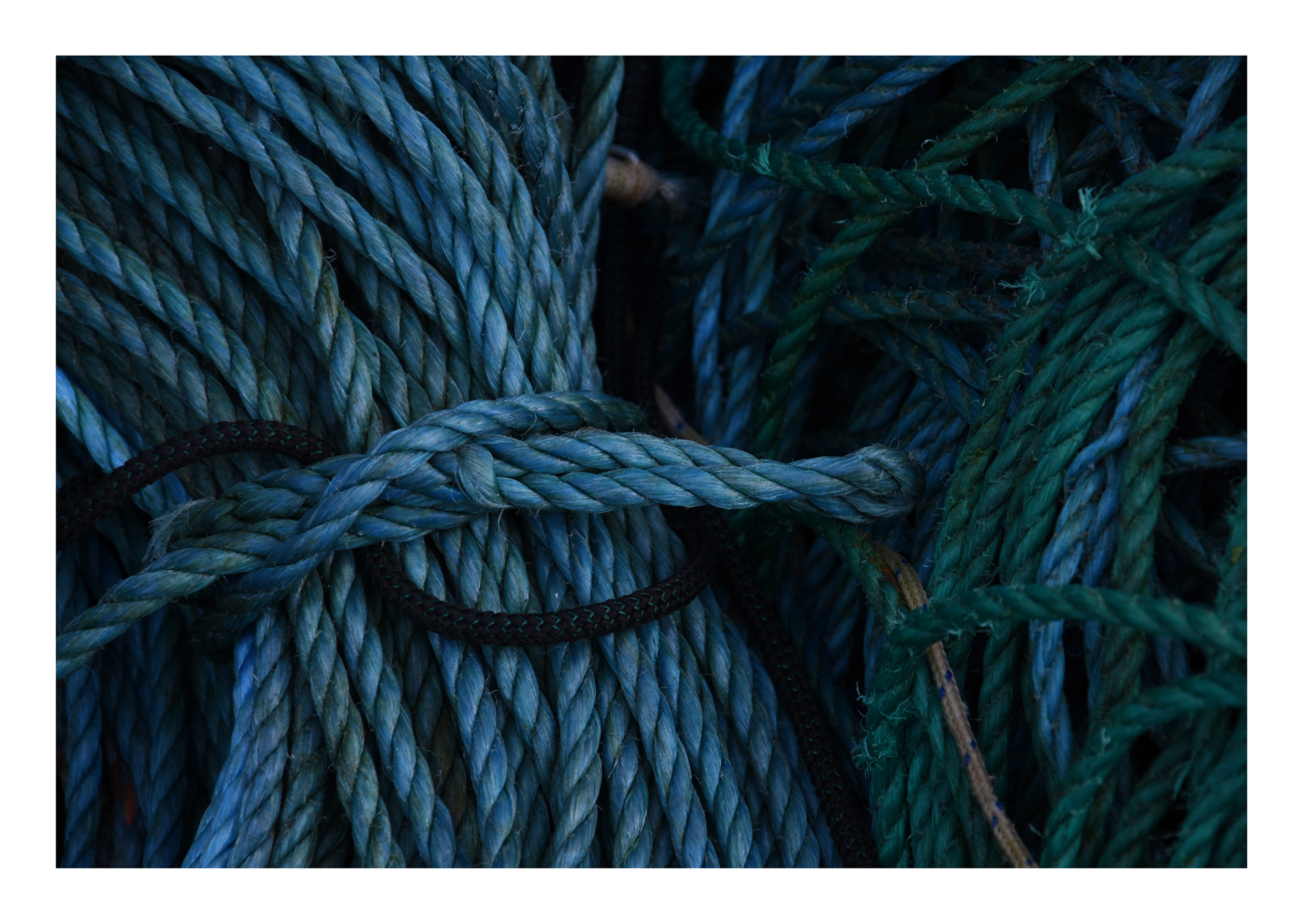 macro photography of blue fishing rope tied together at Mevagissey harbour in Cornwall by freelance photographer in cornwall