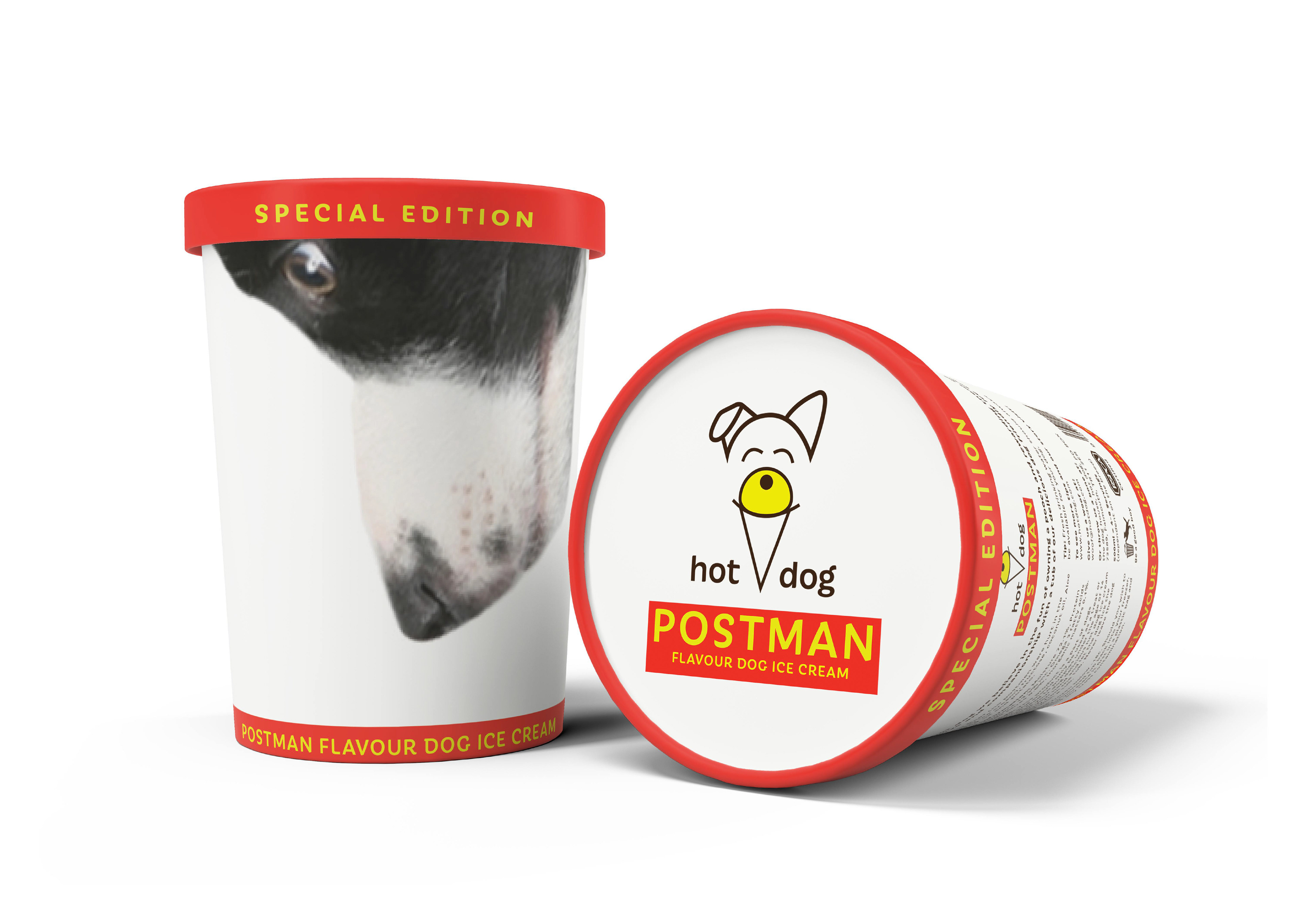 postman flavoured dog ice cream packaging designed by freelance graphic designer melissa carne in cornwall