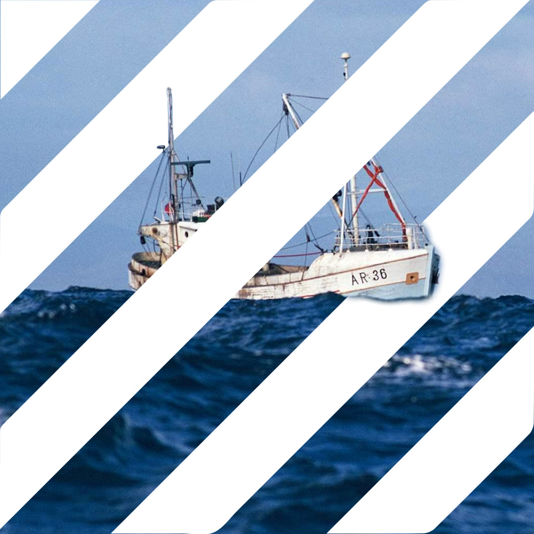 Blue Marine Foundation