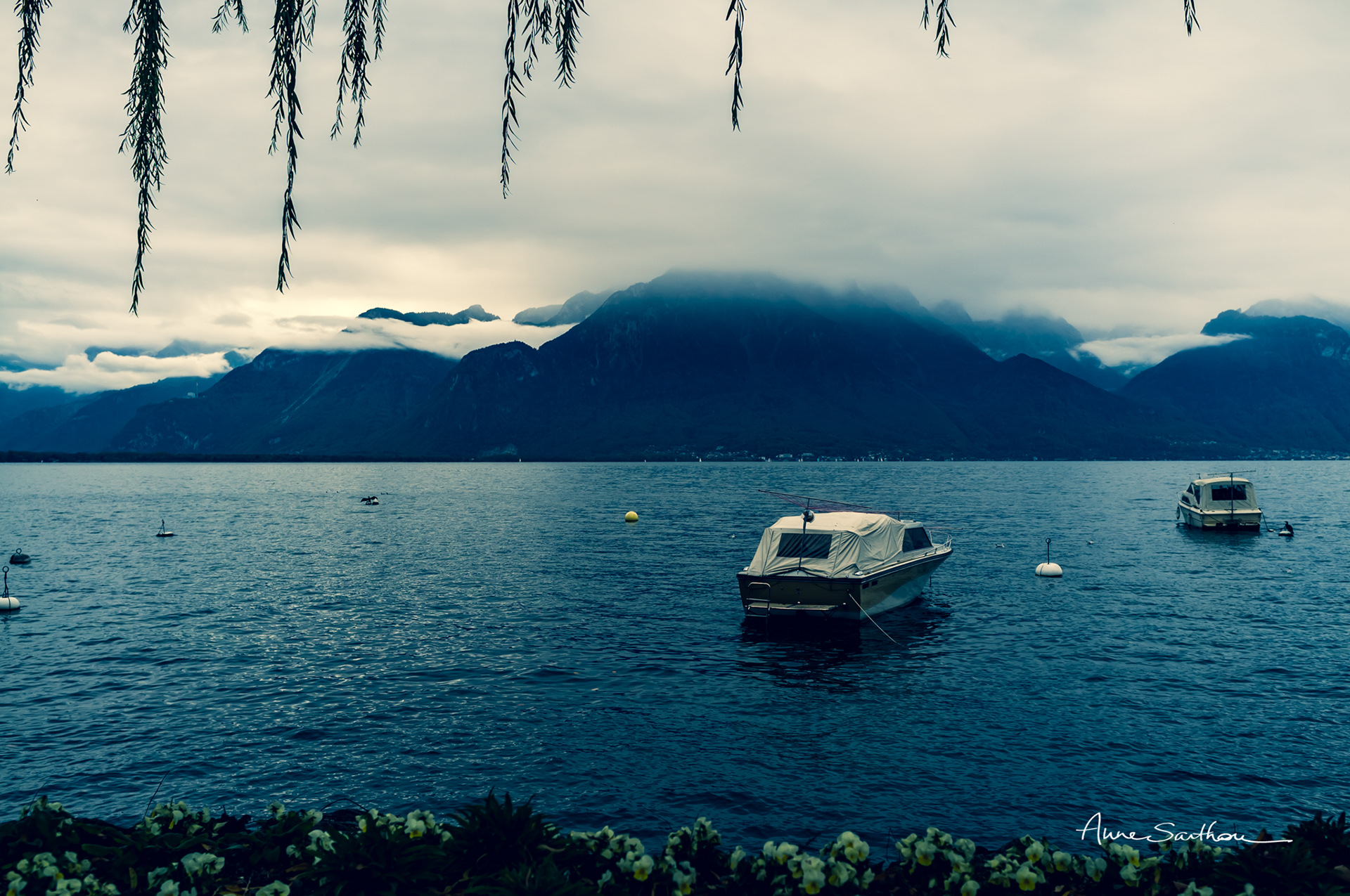 Vue lac (Lac Léman, Montreux, Suisse)