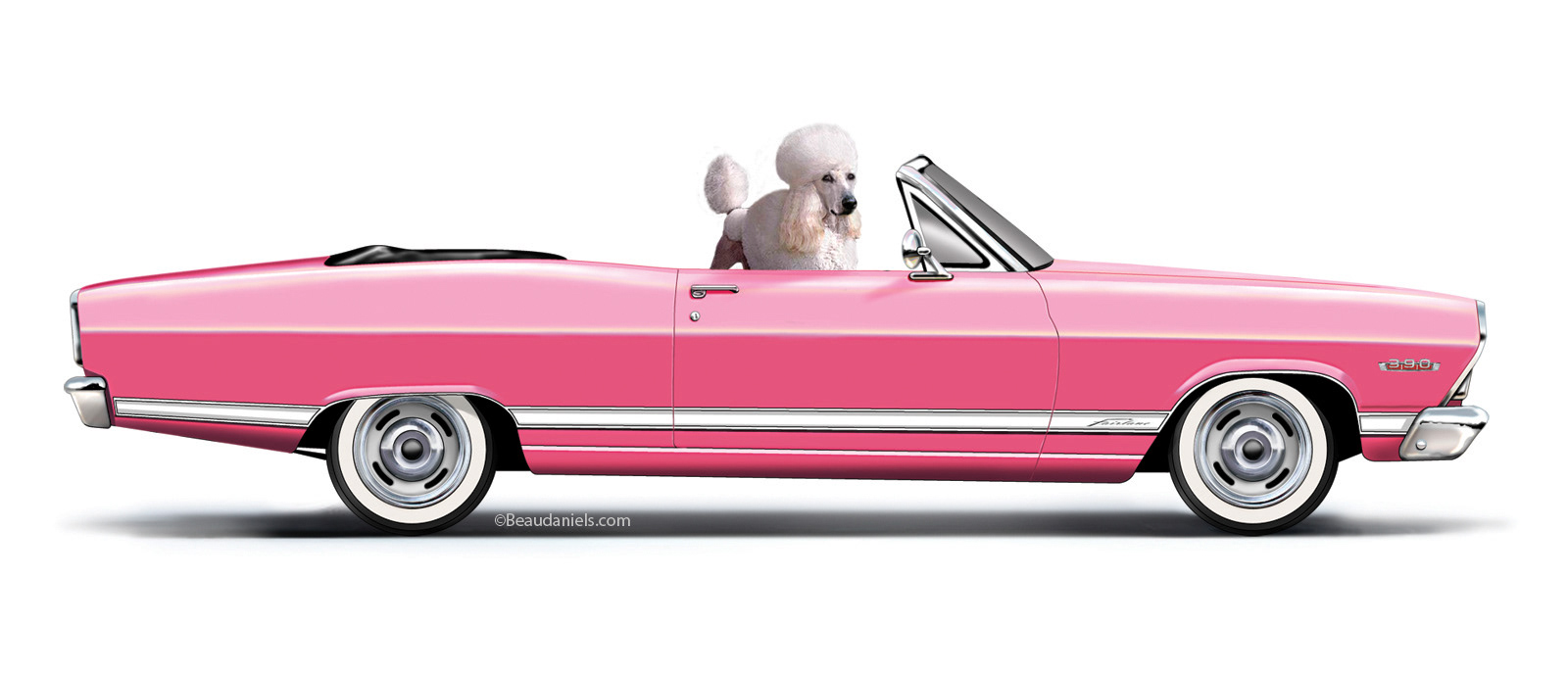 A 1966 Ford Fairlane and a Poodle.