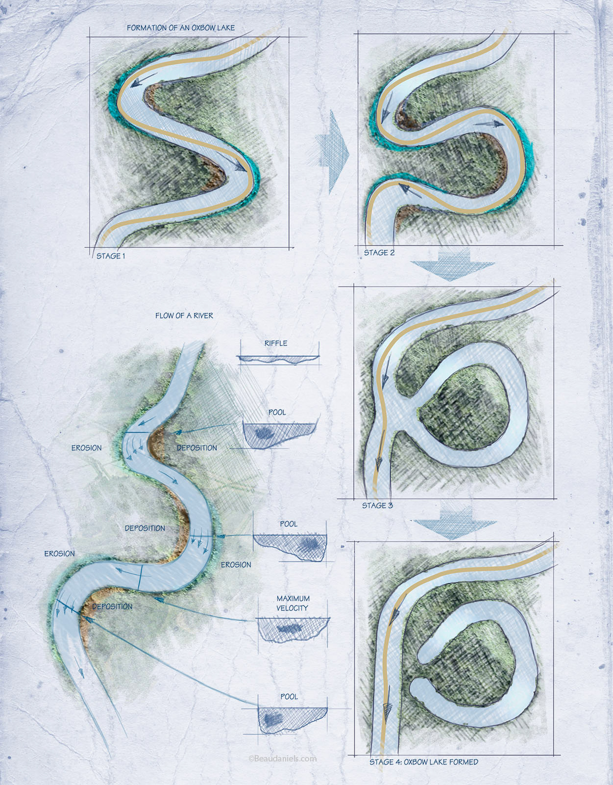 Technical illustration, Beau and Alan Daniels. Wetlands, infographics.