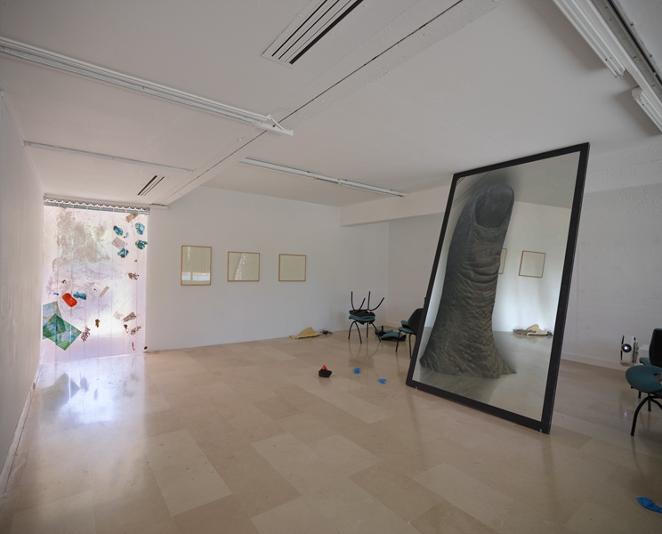 Emmanuelle laine, Villa Arson, exhibition view 2016