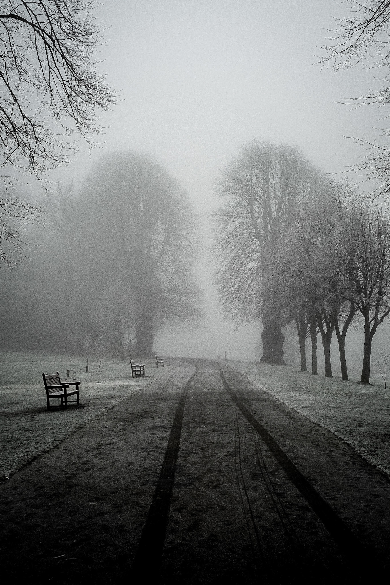 Winter Path - Landscape Photography